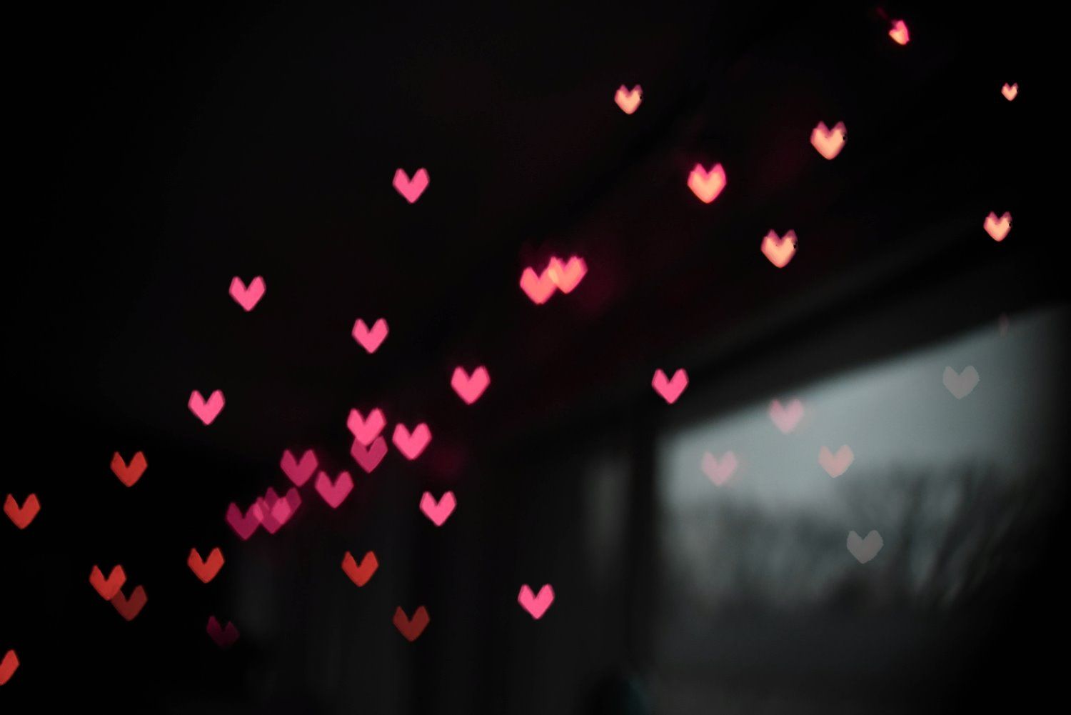 1500x1001 Bokeh Effect in Photography: A Guide to Gorgeous Background Blur
