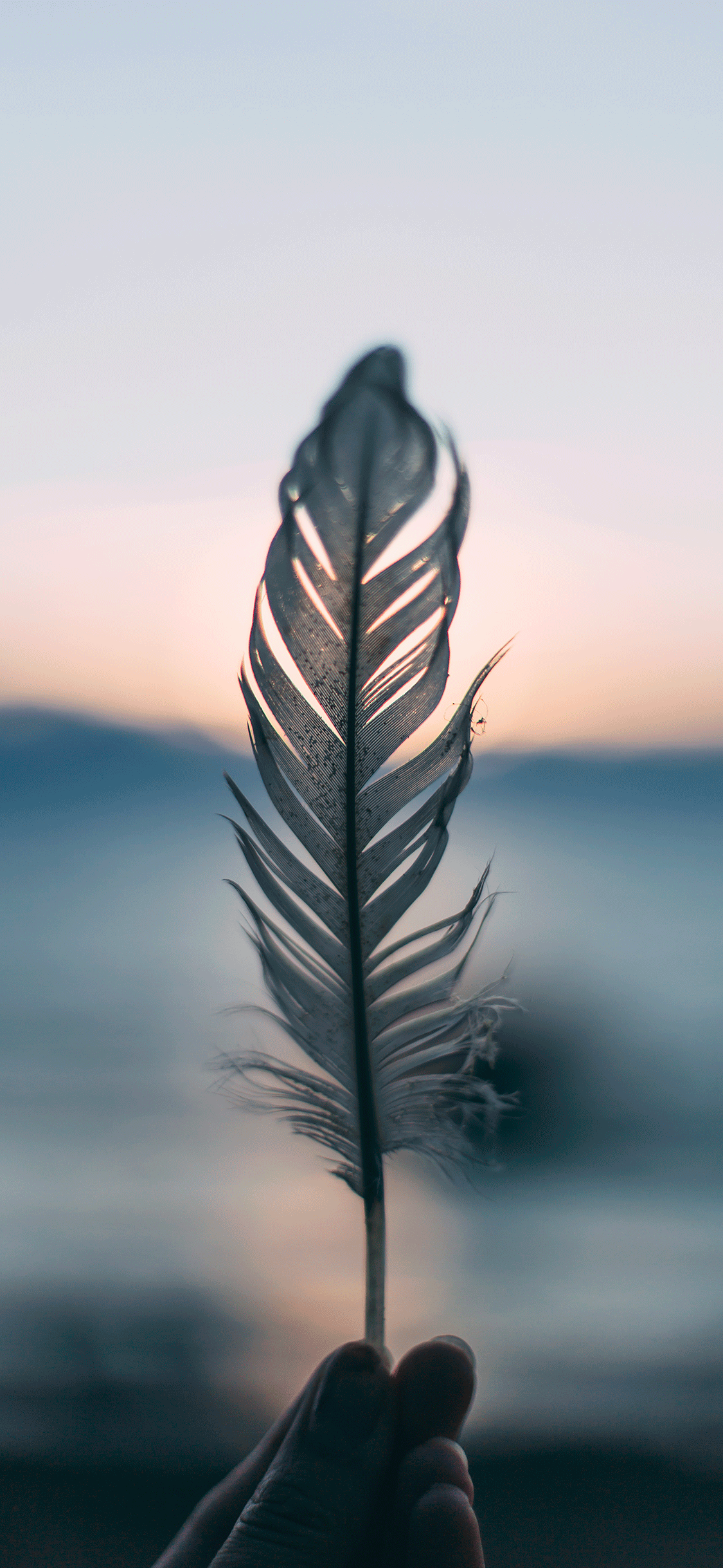 1125x2436 Bokeh Effect Wallpaper for iPhone Pro Max, X, 6
