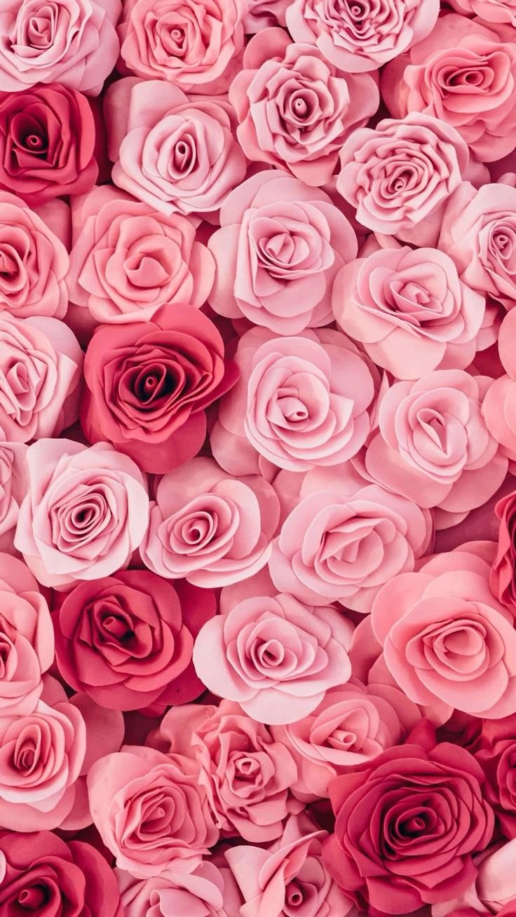 736x1308 Pink 3D roses