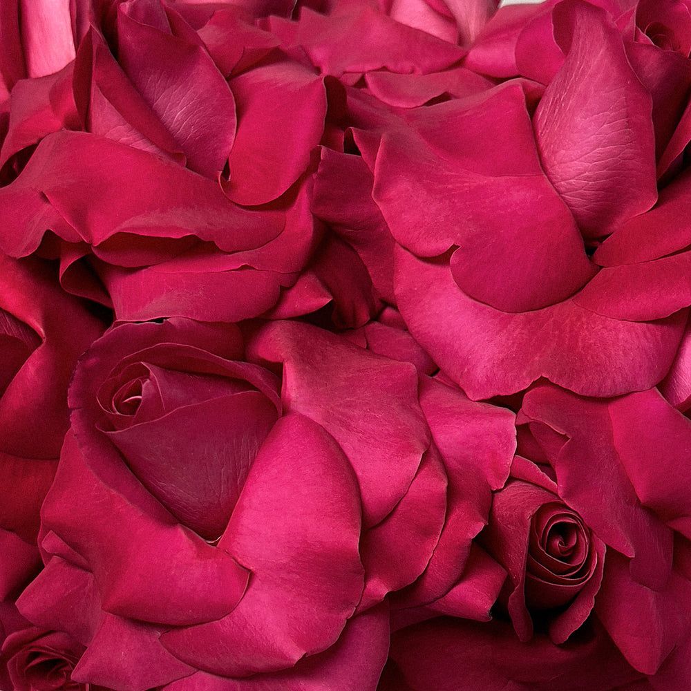 1000x1000 Beyond Beautiful Pink