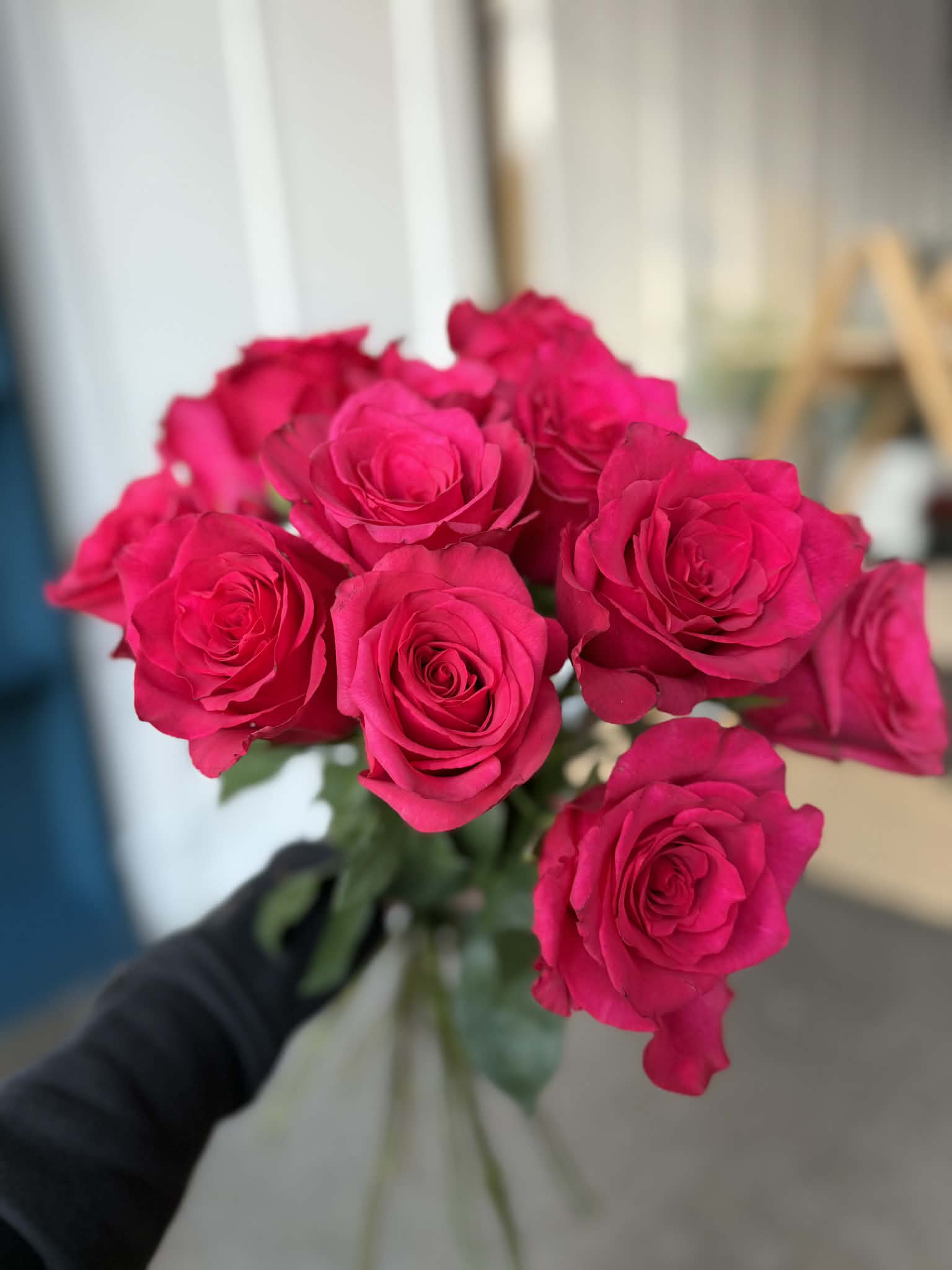 1536x2048 Hot Pink Explorer Roses in a Vase in Syracuse, NY. Jasmine Rae Floral Design