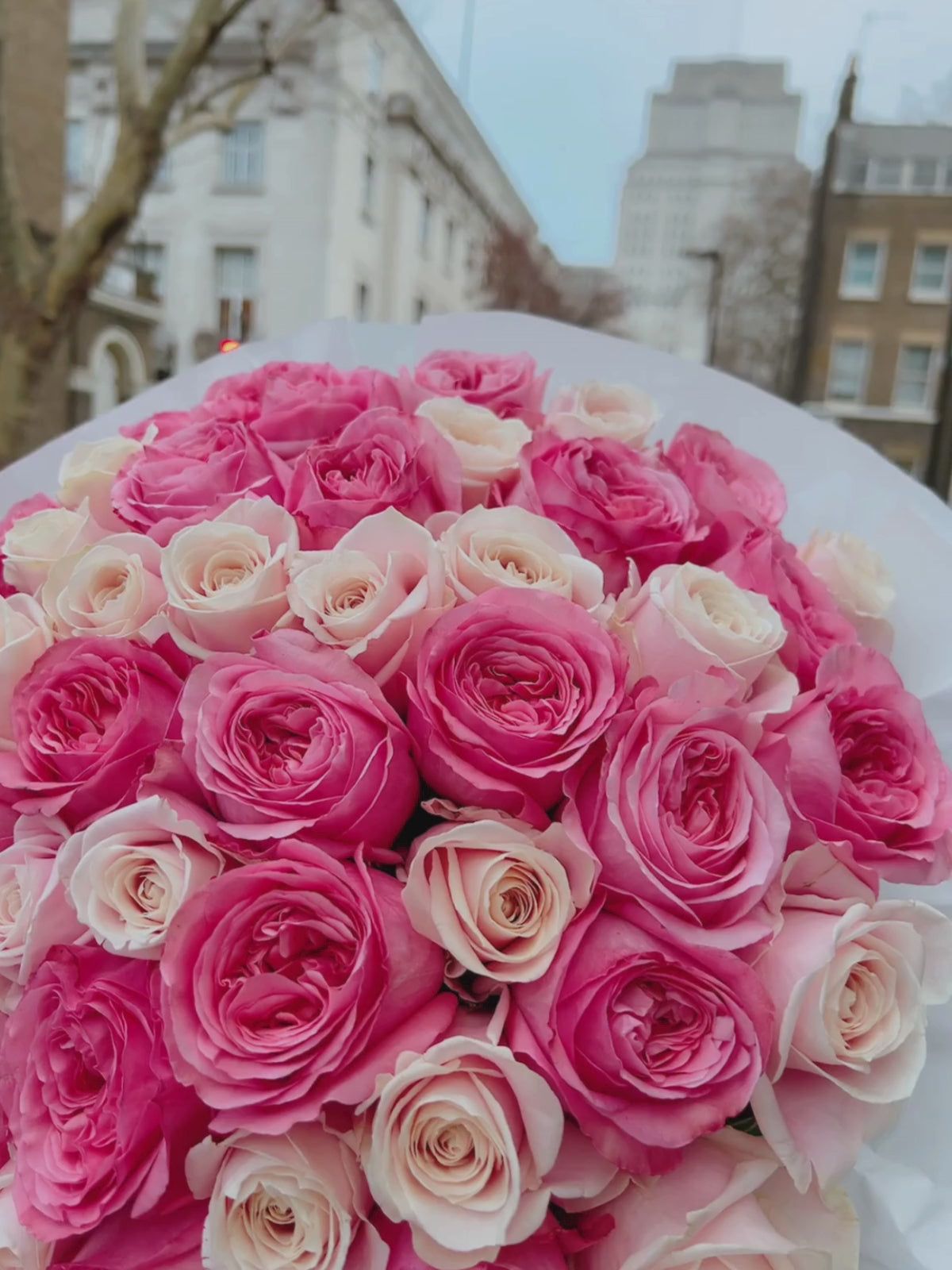 1200x1600 Pink Roses. Luxury Roses. Fast London Flower Delivery