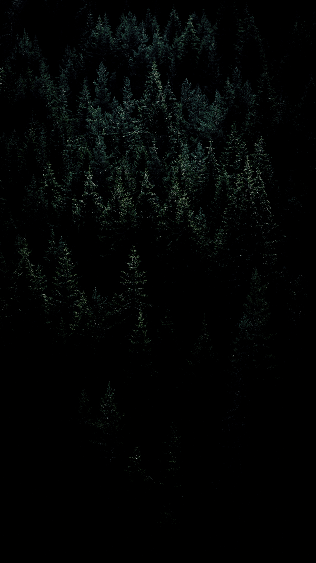 1080x1920 Amoled Forest Wallpaper