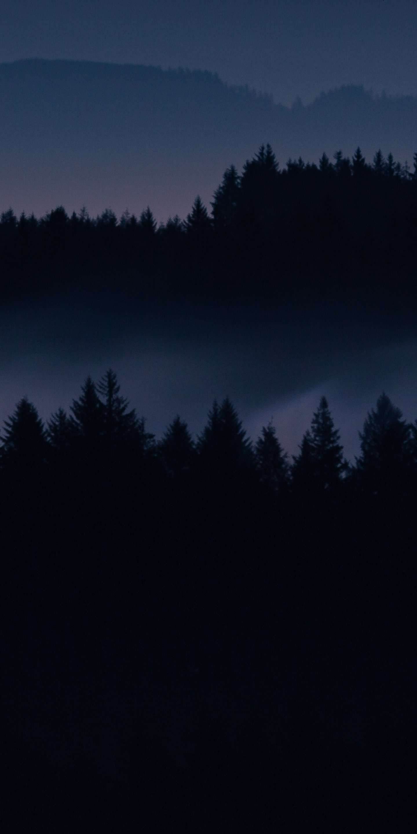 1440x2880 Forest Oled Wallpaper