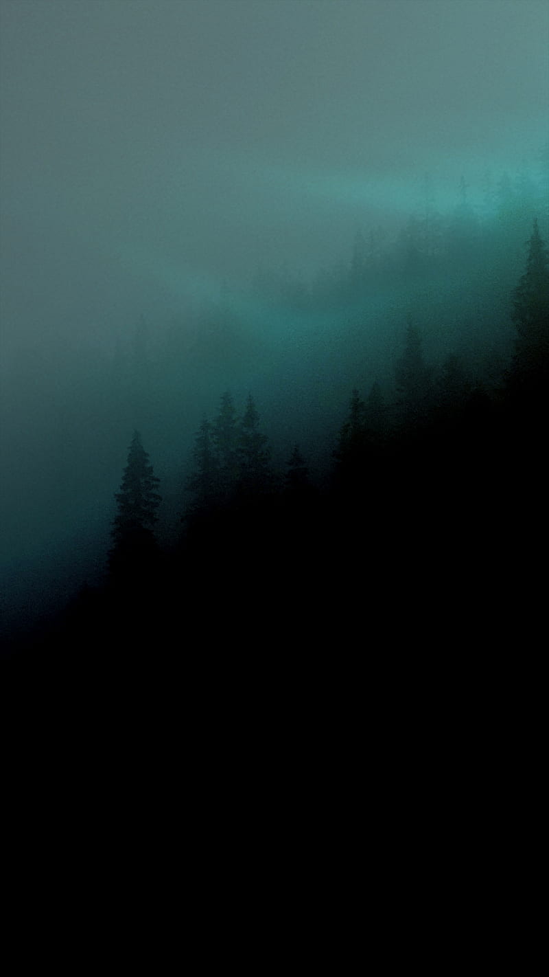 800x1422 Mystic Forest, Mystic, aurora, black, borrealis, forest, green, nature, night, HD phone wallpaper