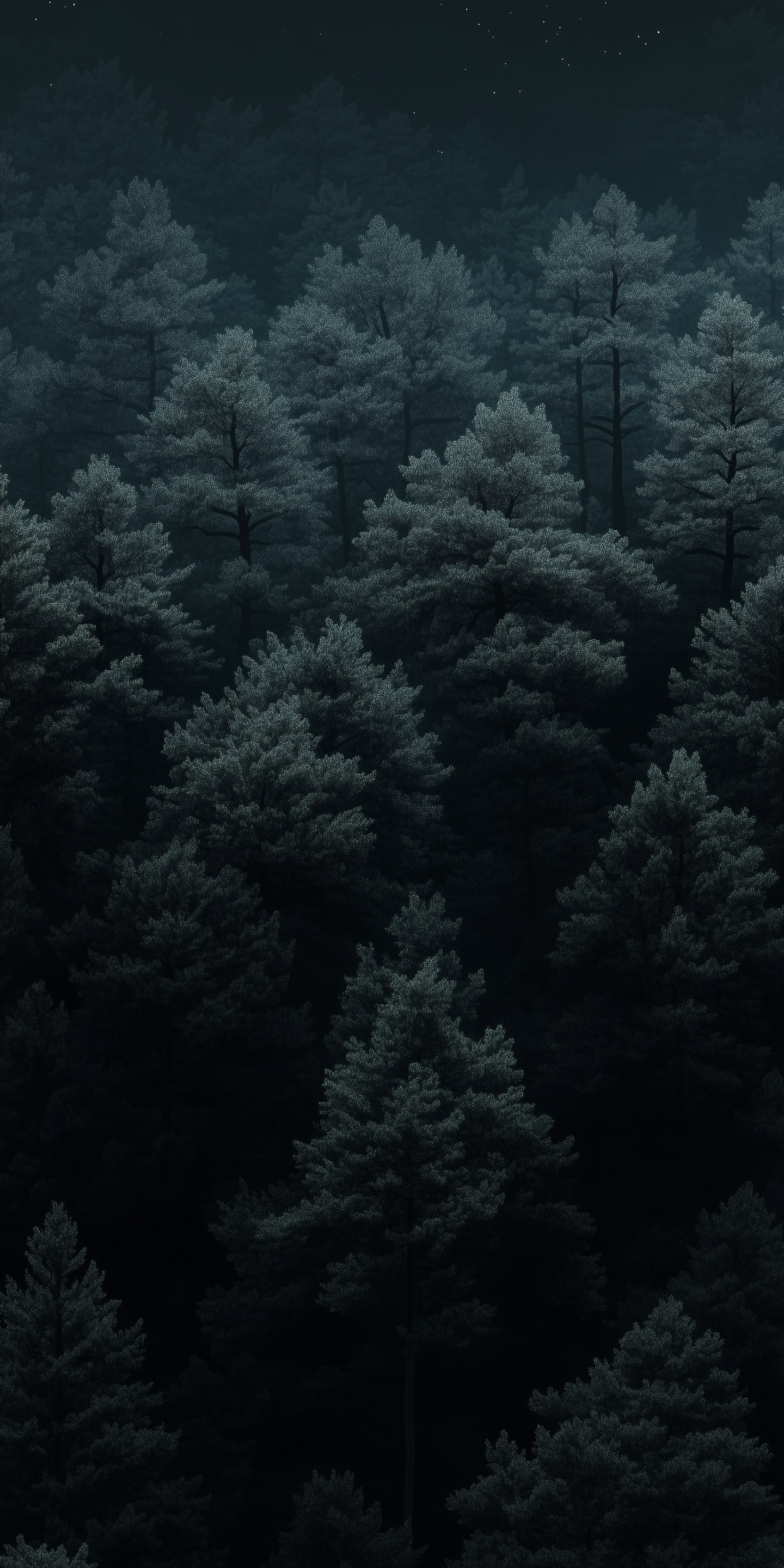 1440x2880 Dark Forest Trees From Above