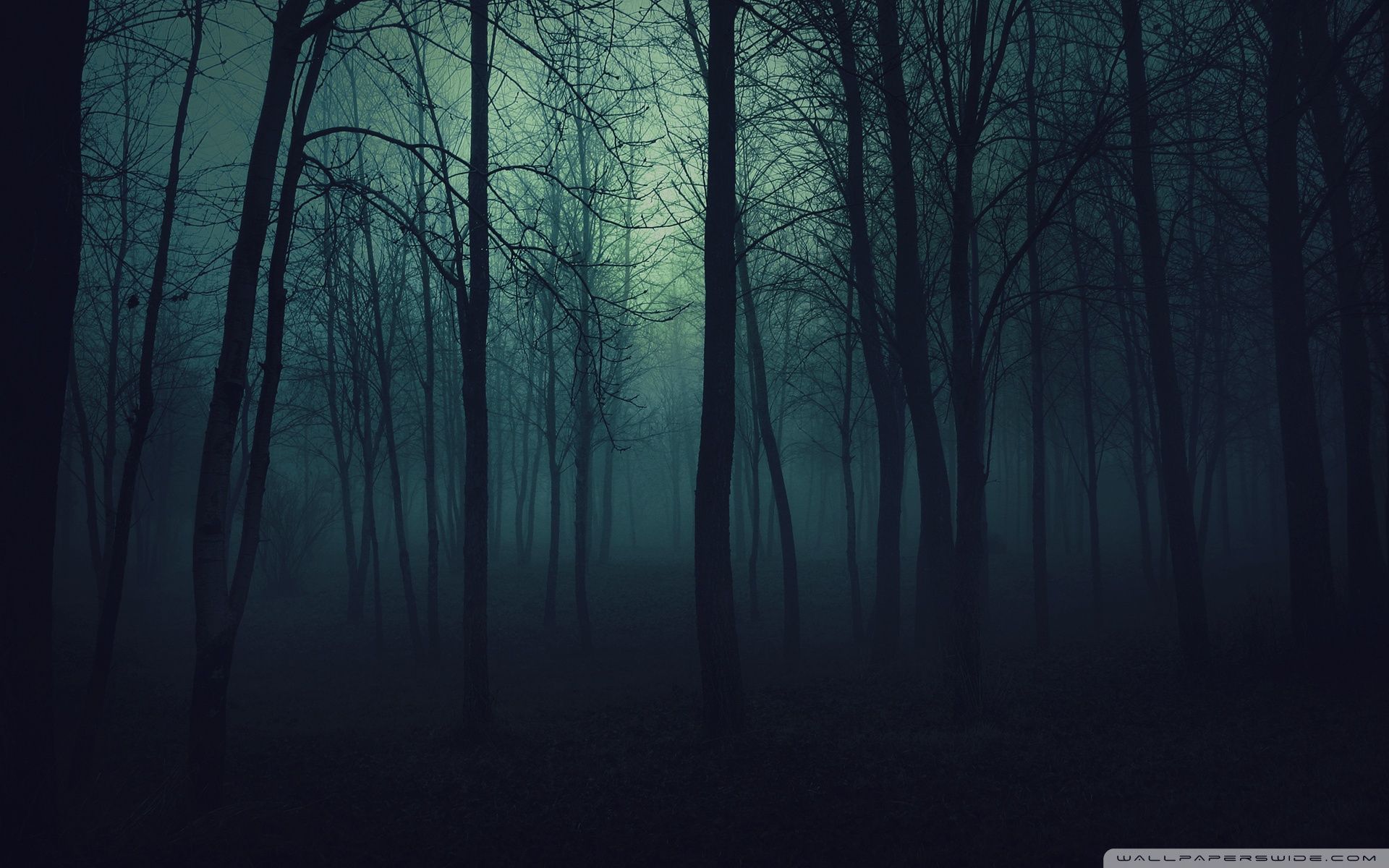1920x1200 