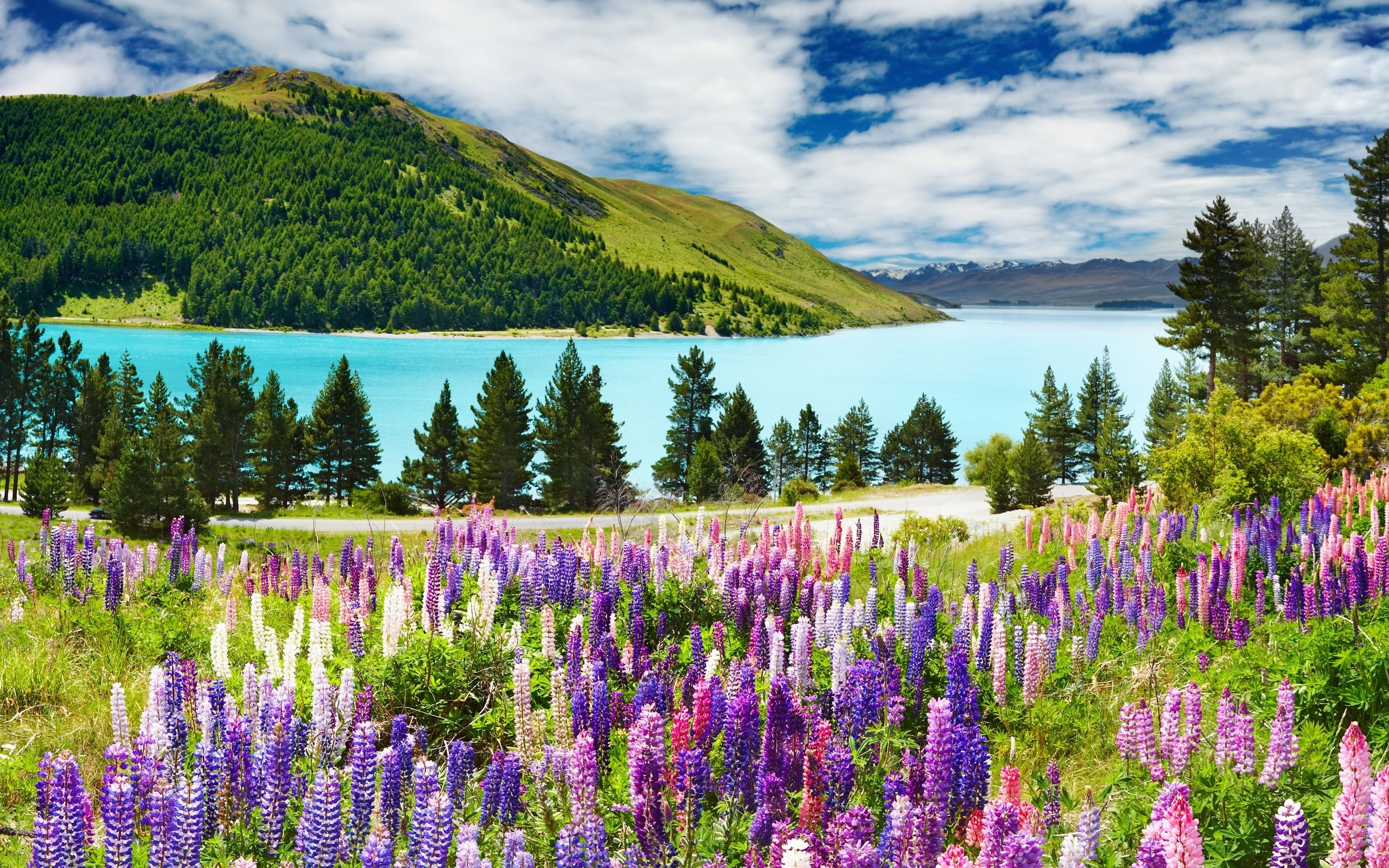2560x1600 Desktop wallpaper: Landscape, Grass, Background, Sky, Clouds 4K free download for PC. 12954