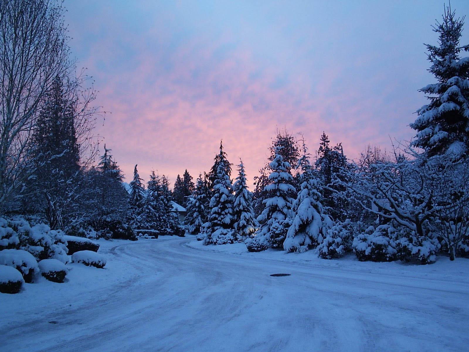 1600x1200 Winter Horizontal Wallpaper