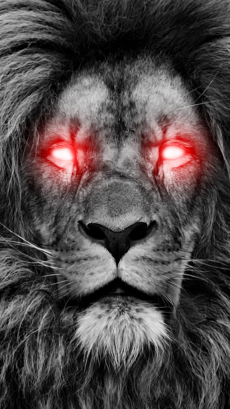 800x1422 Demon lion king, DARK, animal, animals, black and white, crazy, eyes, glow, nature, HD phone wallpaper