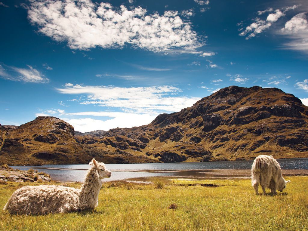 1024x768 Some Like It Not Hot. Condé Nast Traveler