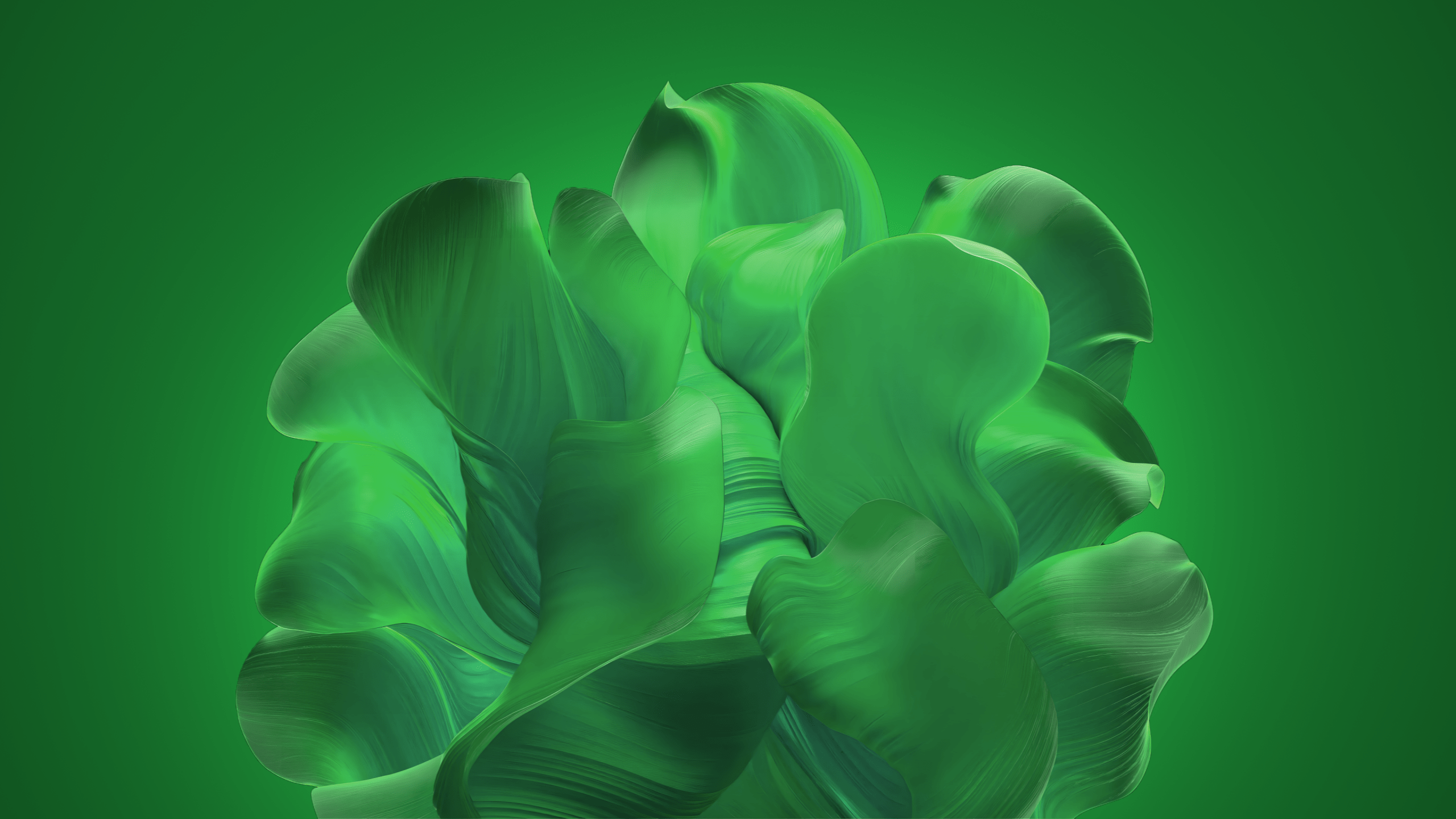 2560x1440 Windows 11 Wallpaper 4K, Green background