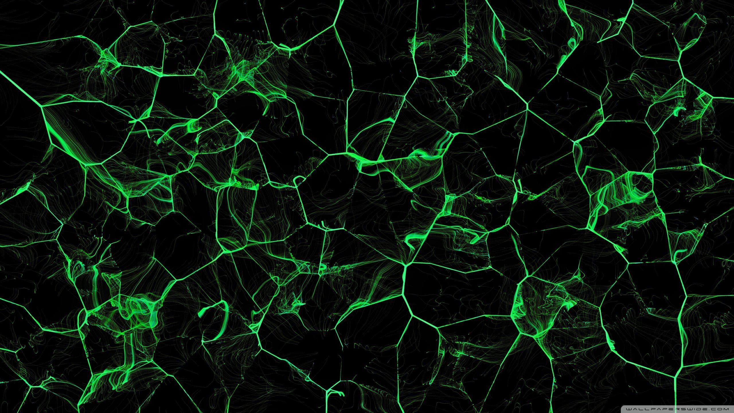 2560x1440 Green, Dark, Abstract 4K UHD Wallpaper for UltraHD Desktop and TV : Widescreen and UltraWide Display : Dual Monitor : Smartphone and Tablet Devices
