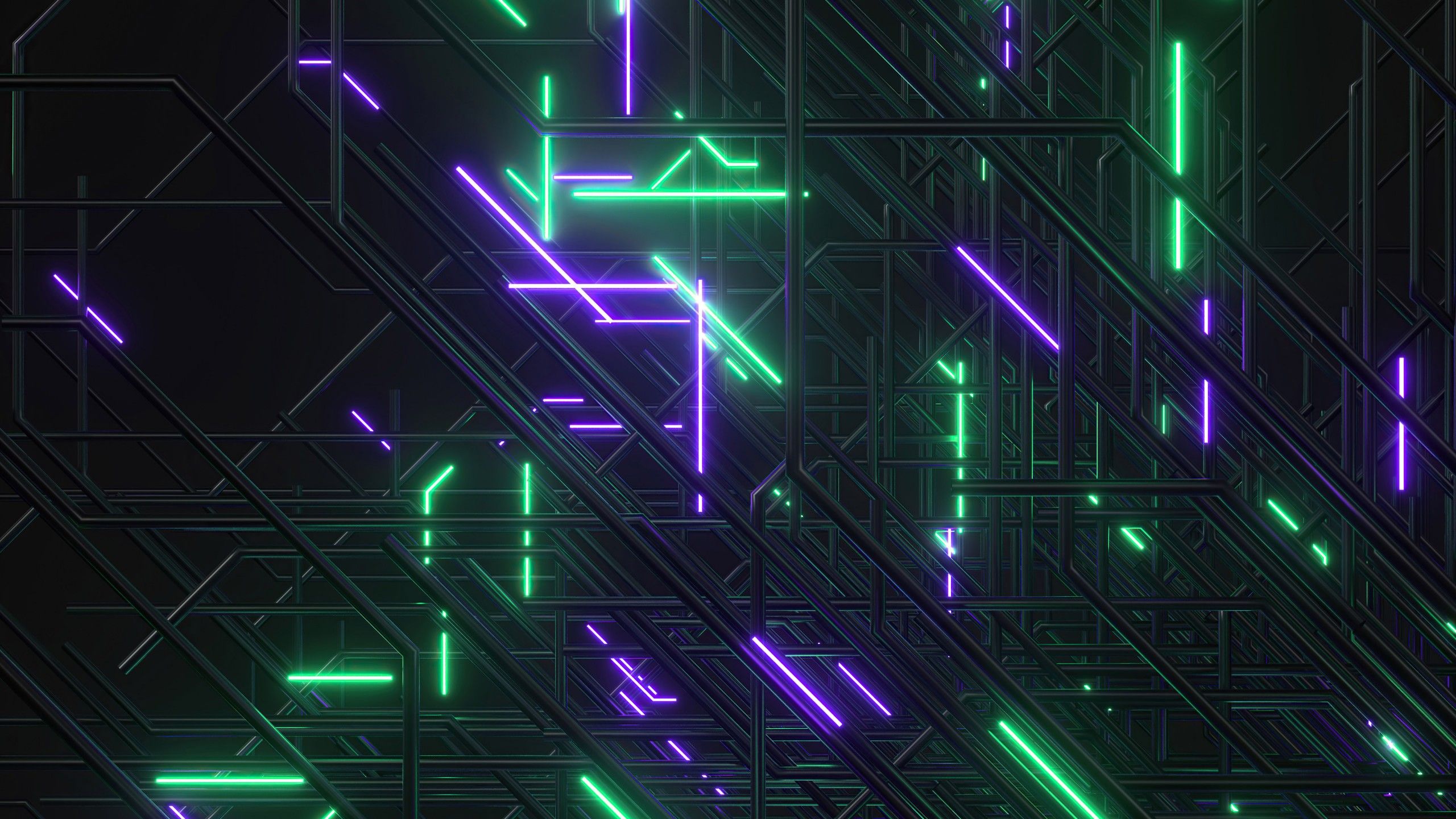 2560x1440 Green Purple Neon Light Lines Abstraction 4K HD Abstract Wallpaper