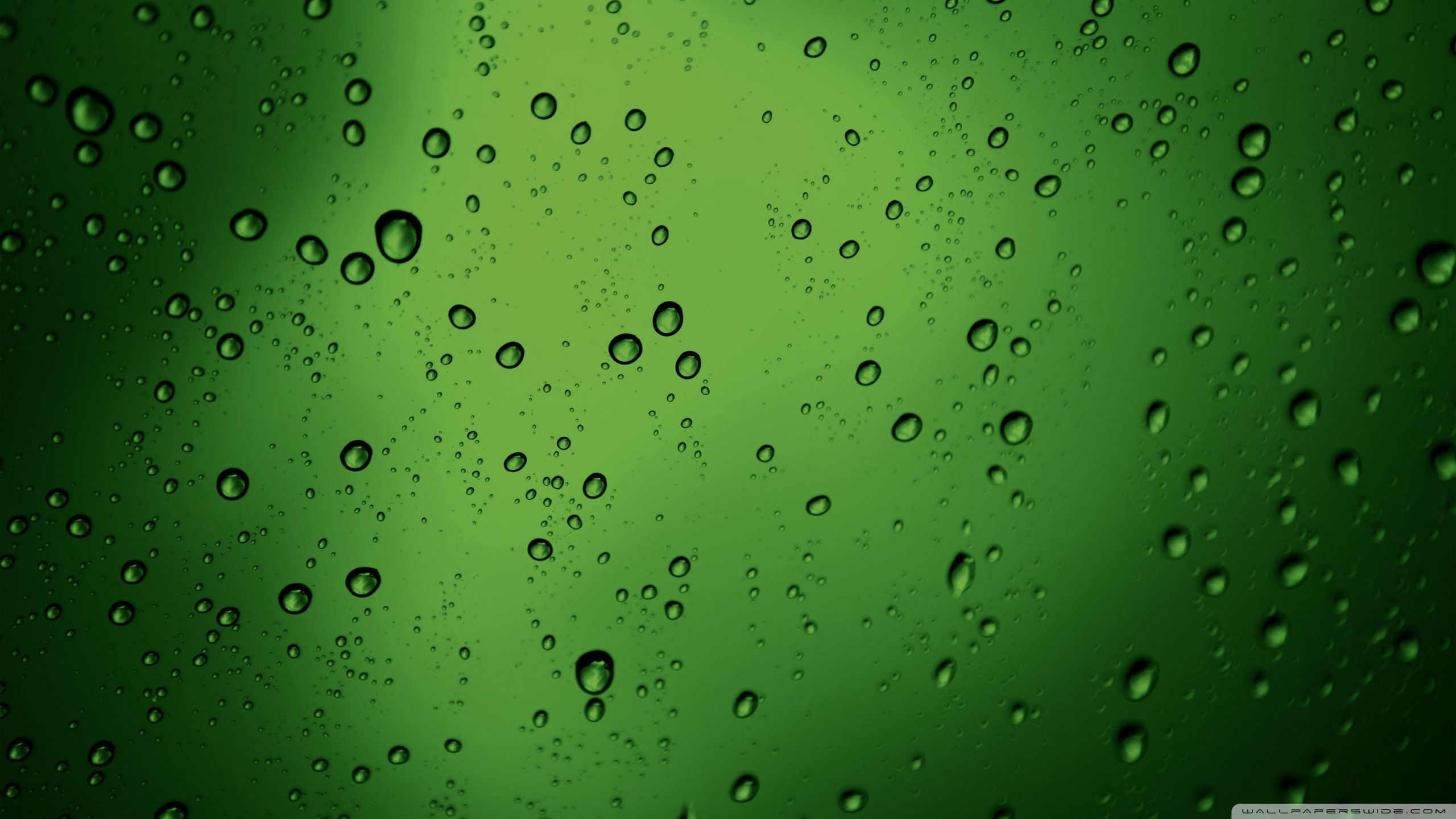 2560x1440 Green Water Drops 4K UHD Wallpaper for UltraHD Desktop and TV : Dual Monitor : Smartphone and Tablet Devices