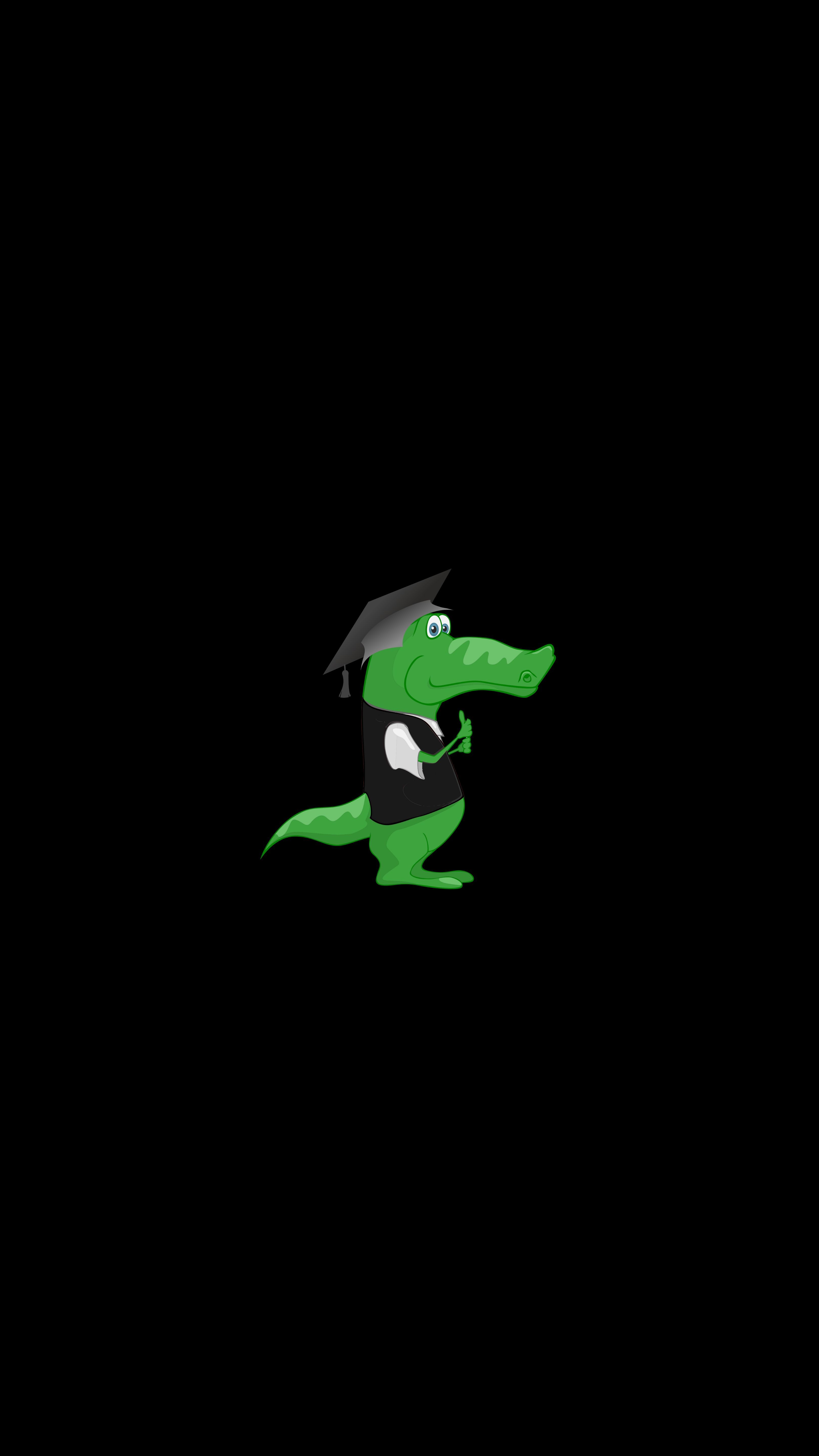 3240x5760 Phone wallpaper: Student, Art, Funny, Vector, Hat, Crocodile 54920