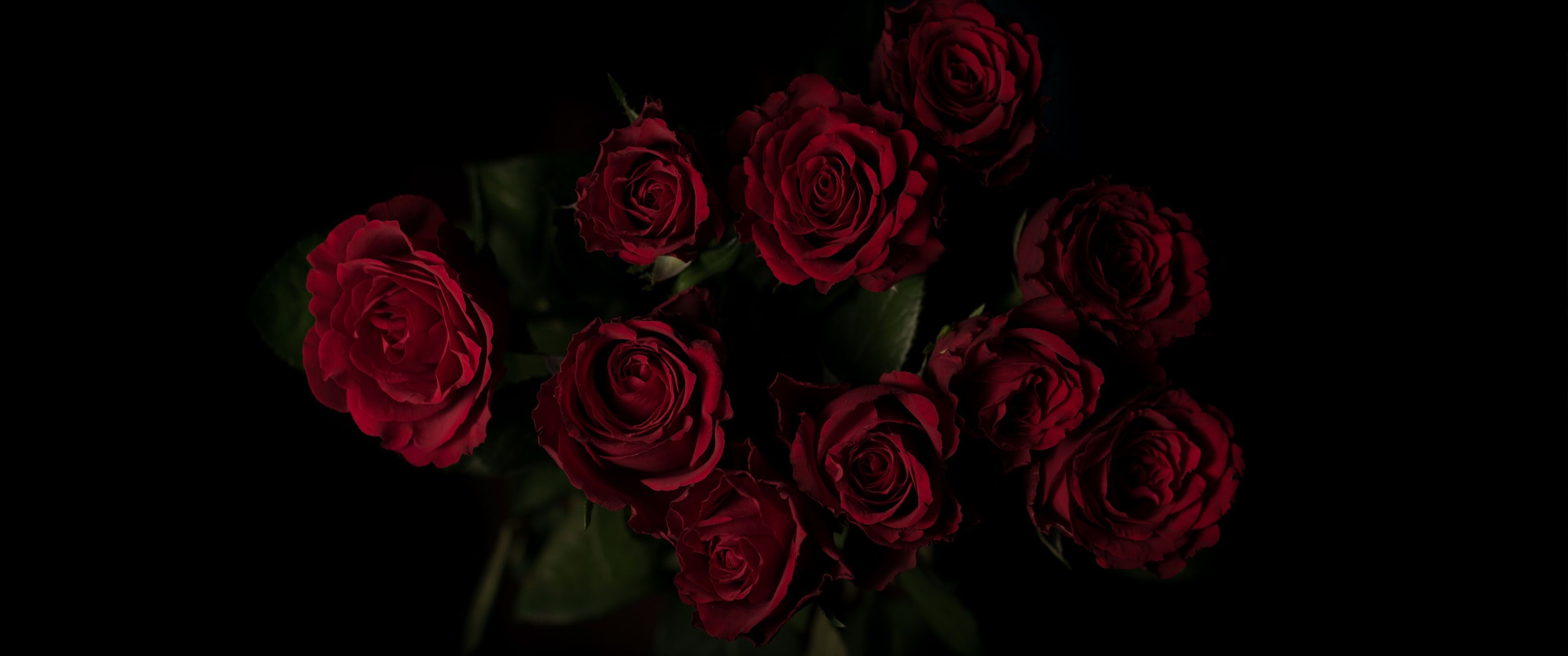 3440x1440 Black Roses 21:9 Wallpaper. Ultrawide Monitor 21:9 Wallpaper