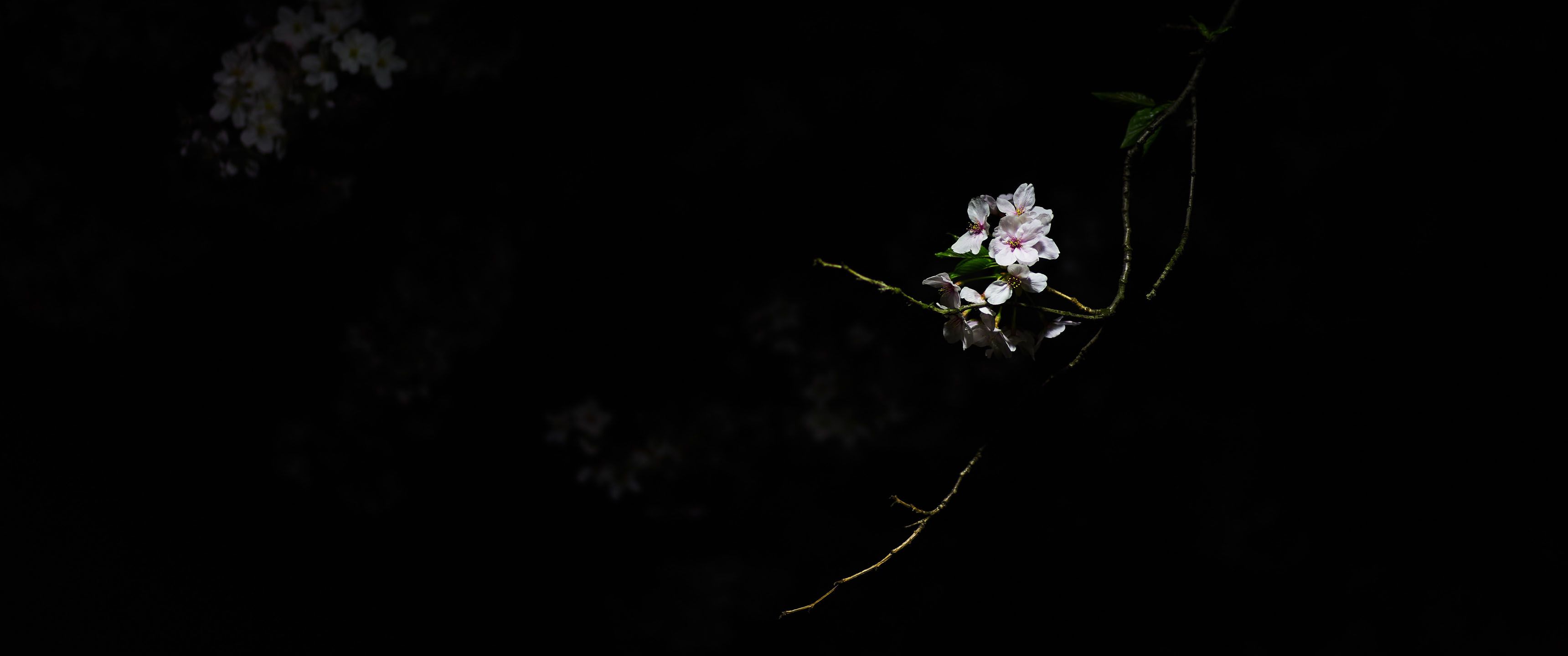 3440x1440 Luminous 21:9 Wallpaper. Ultrawide Monitor 21:9 Wallpaper