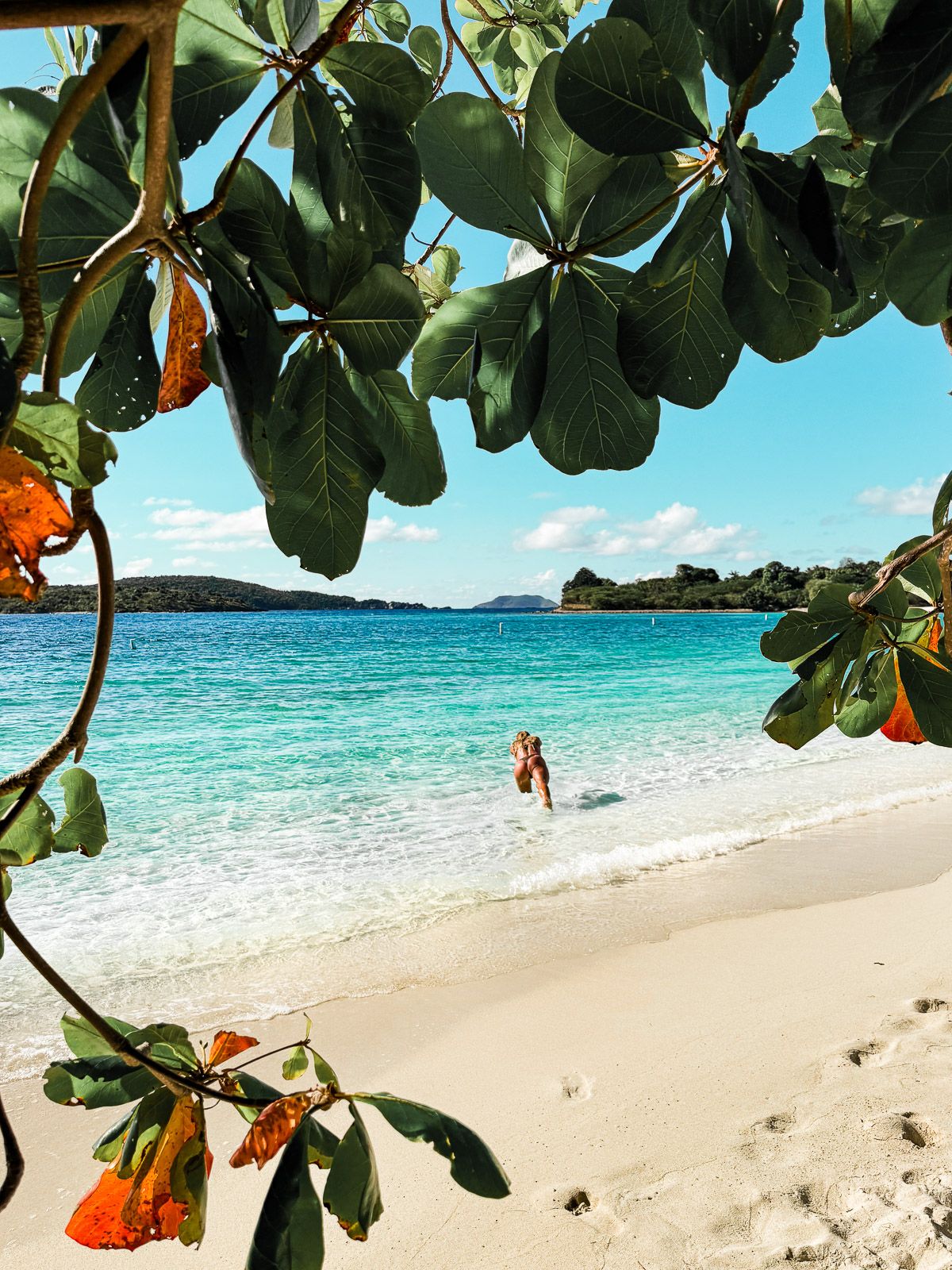 1200x1600 The 11 Very Best Things to do in St. John, USVI (Aside From The Beach)