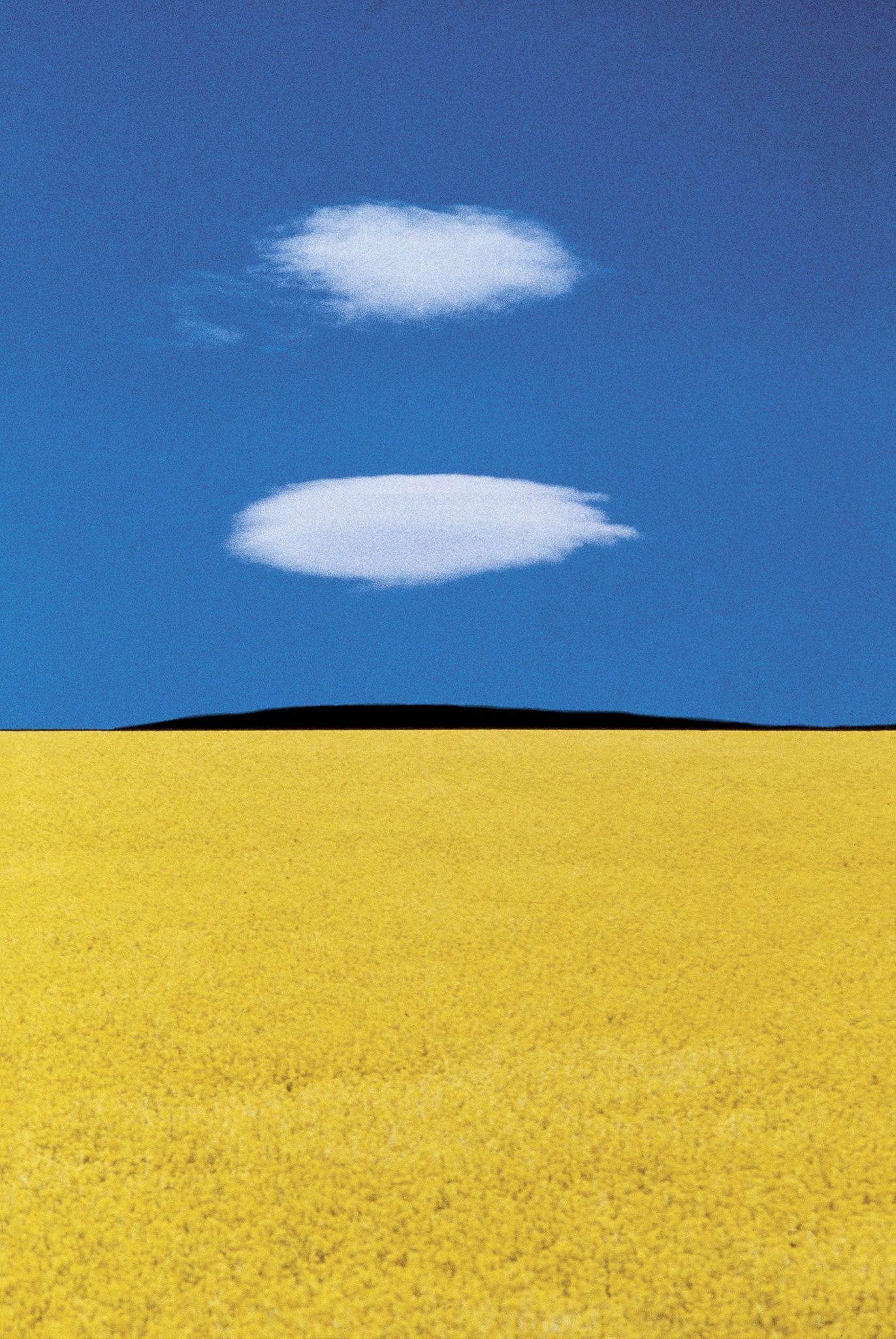 1372x2048 Puglia 1978