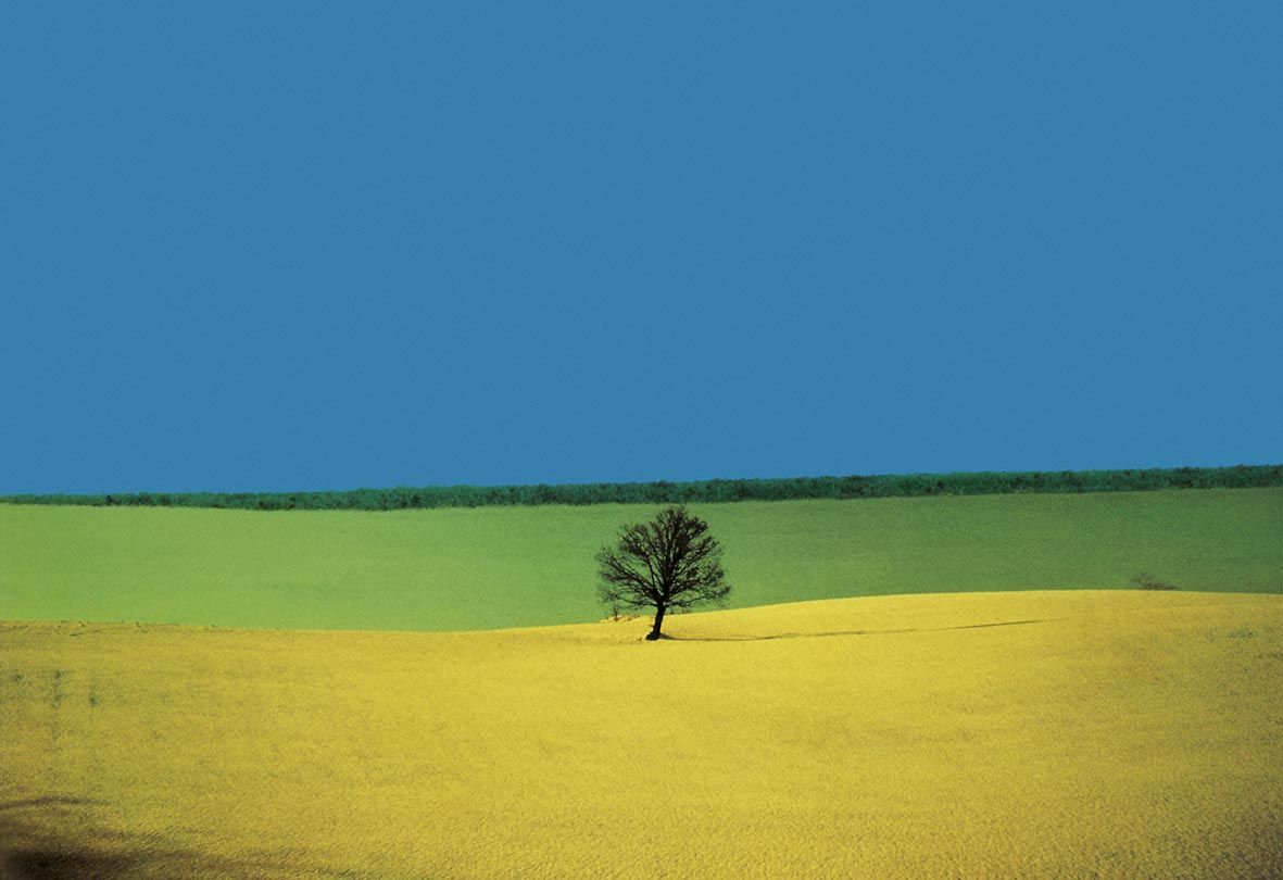 1181x810 Atlas Gallery. Fine Art PhotographyFranco Fontana