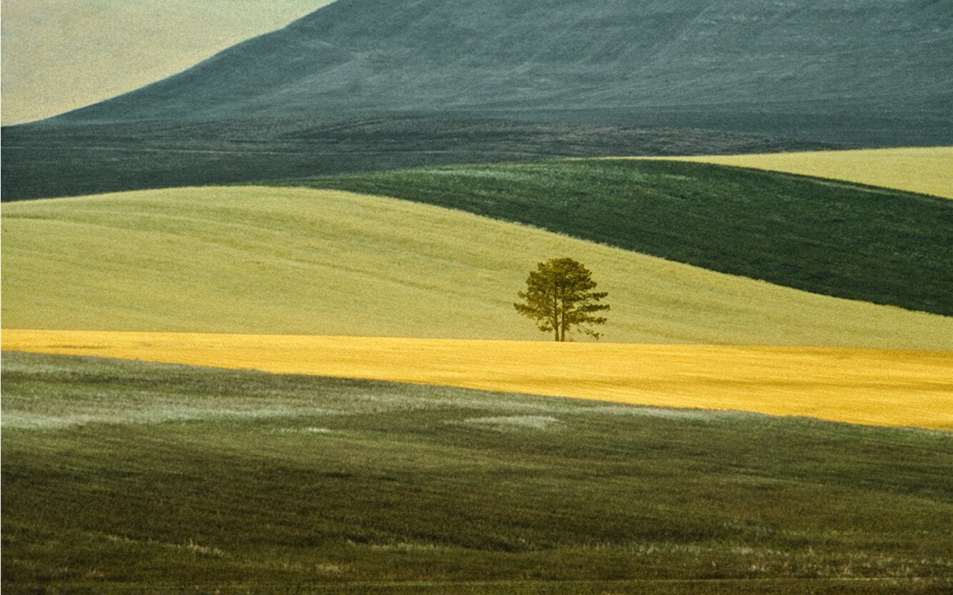 1334x833 Franco Fontana. The Independent Photographer