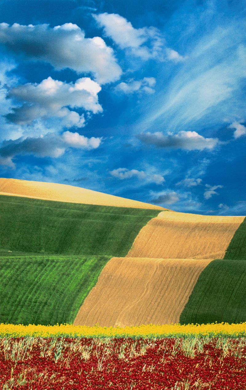 800x1268 Franco Fontana (Landscape) 2000. Photographs: Under 1K. Finarte, casa d'aste