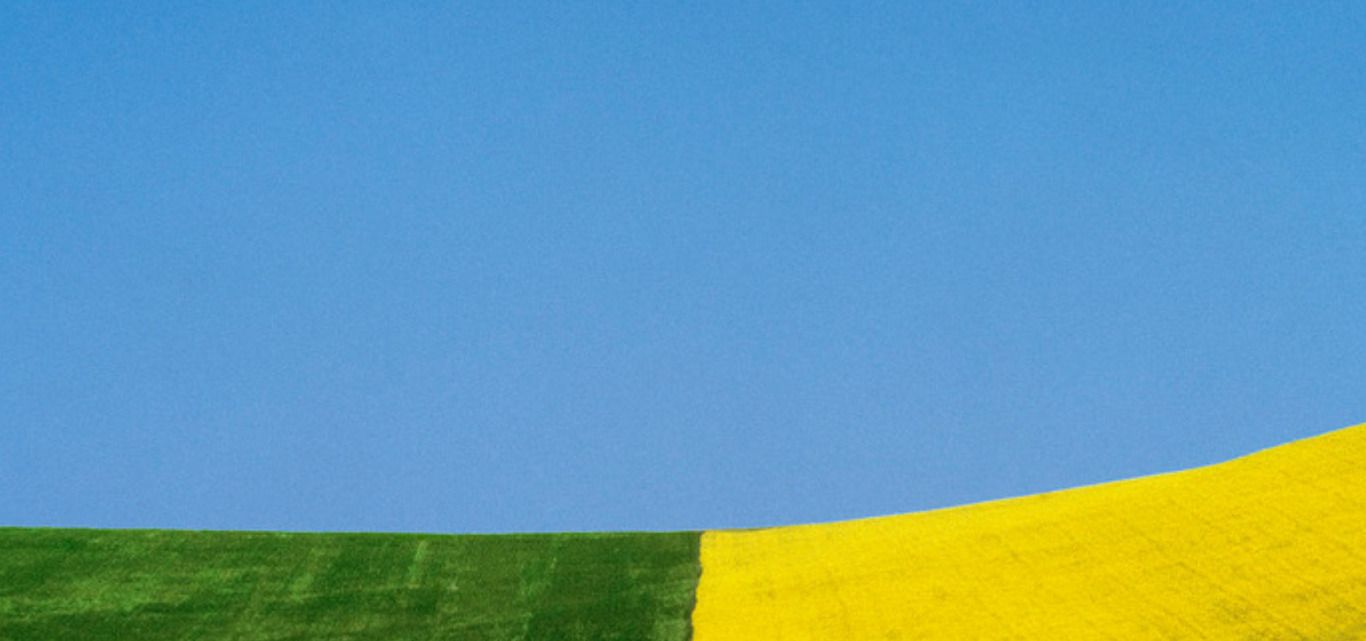 1366x641 Franco Fontana: Minimalism and Abstractions in Landscape Photography. Digital Photography Courses