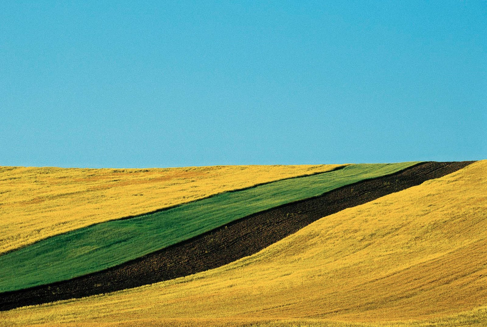 1600x1074 La fotografia di Franco Fontana Non per tutti