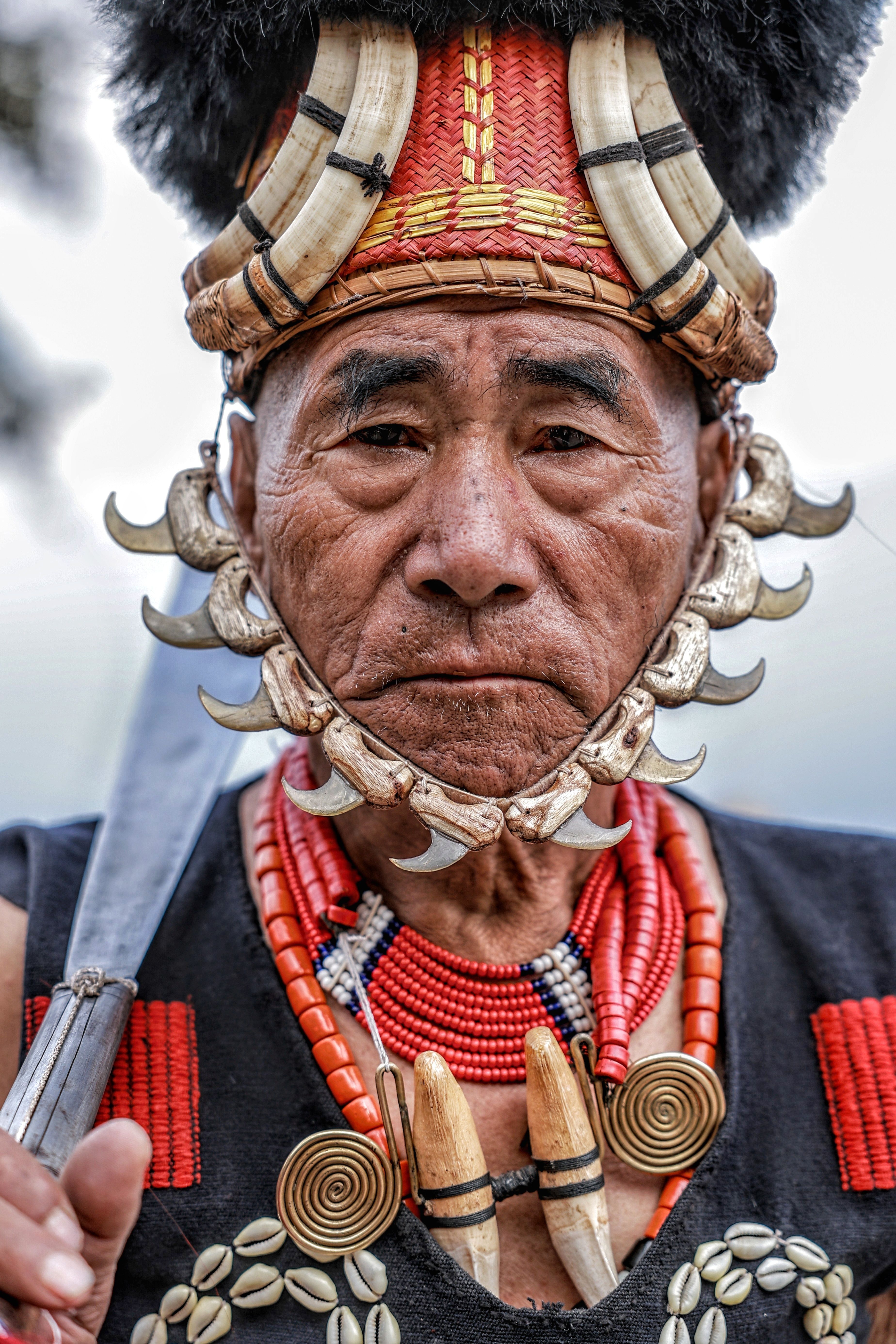 3696x5543 Hornbill Festival Photo, Download The BEST Free Hornbill Festival & HD Image