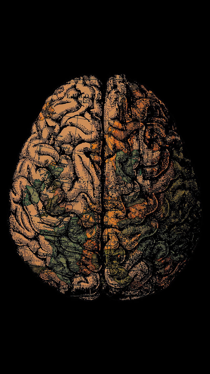 800x1422 Brain, amoled, black, green map, orange, HD phone wallpaper