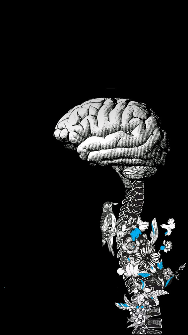 800x1421 Adam Jensen, birds, brain, love, skeleton, skull, spine, HD phone wallpaper