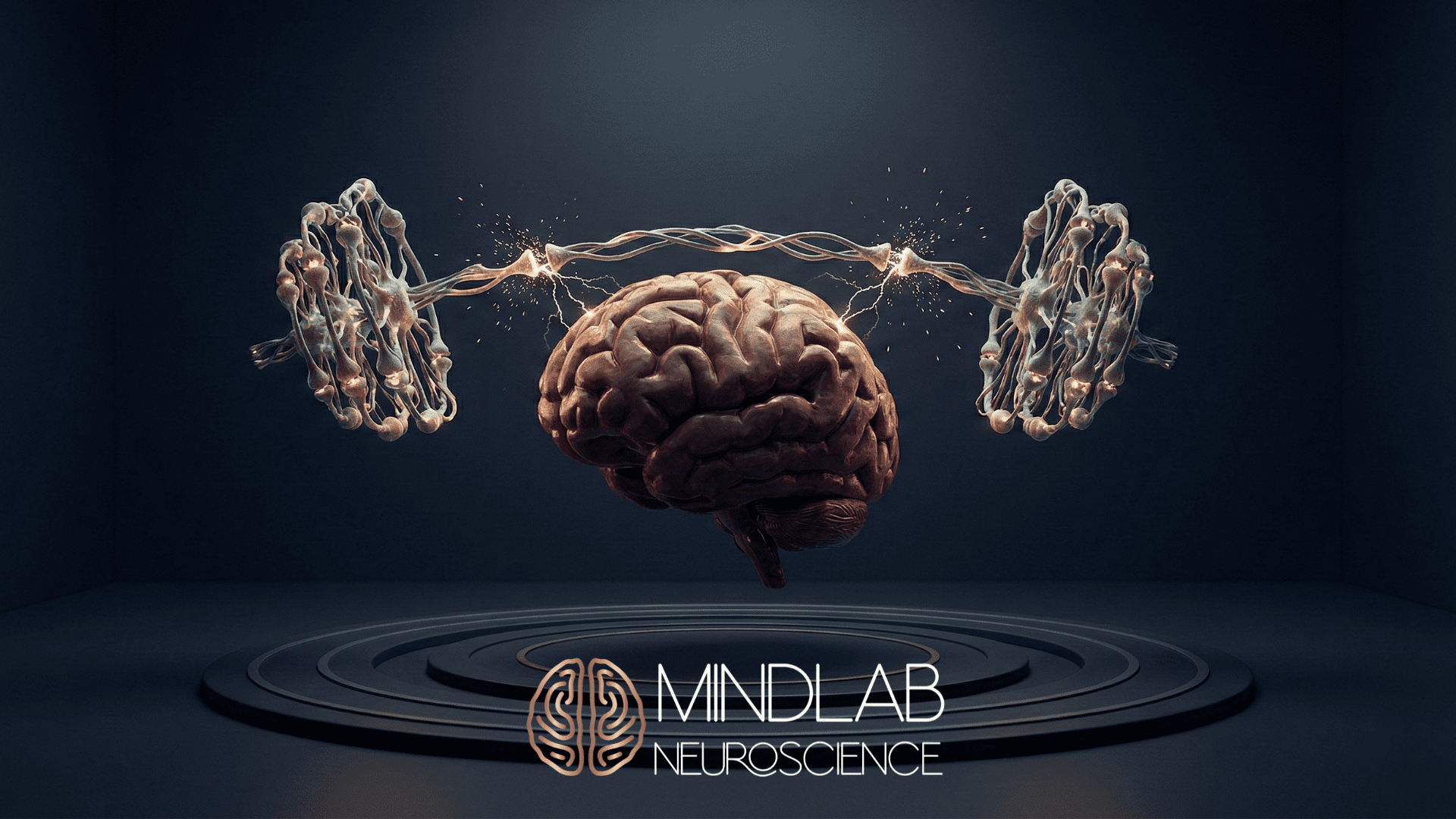 1920x1080 Neuroplasticity Exercises: A Neuroscientist's Protocols