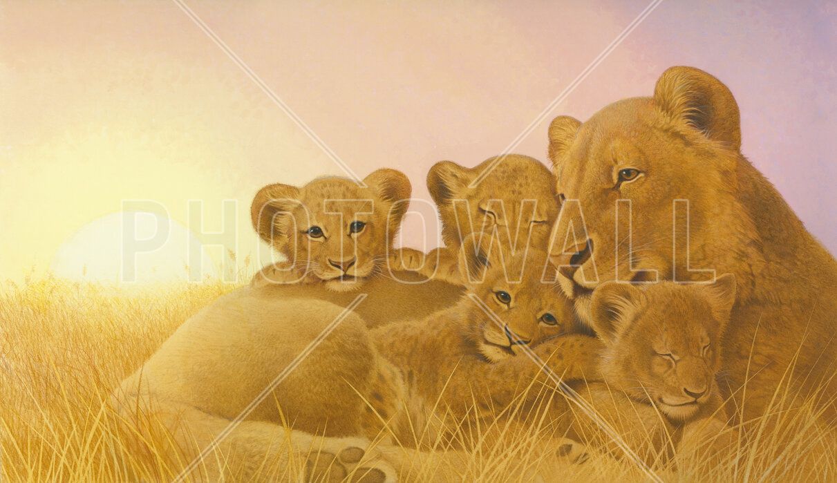 1211x699 Lioness Cubs