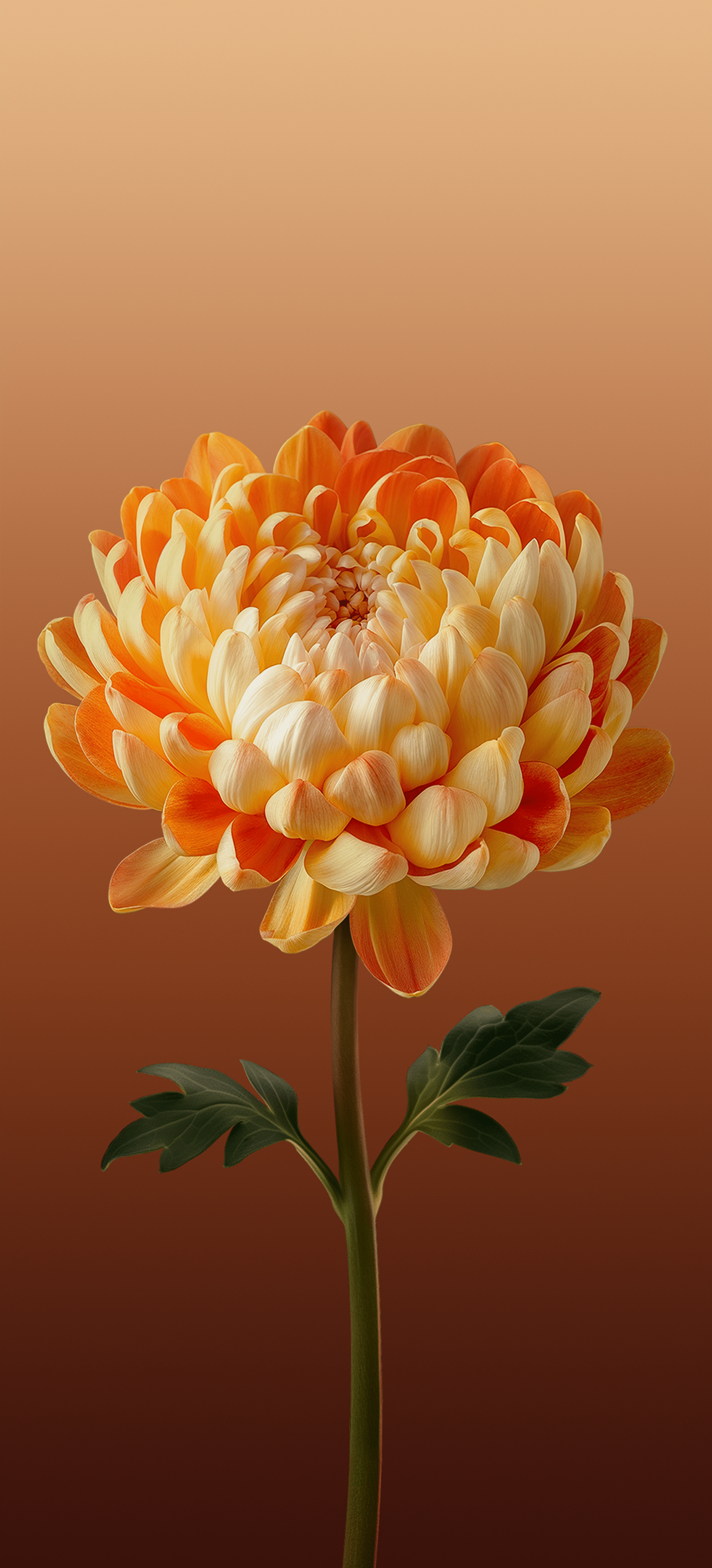 1440x3168 ColorOS 15 Wallpaper and Background