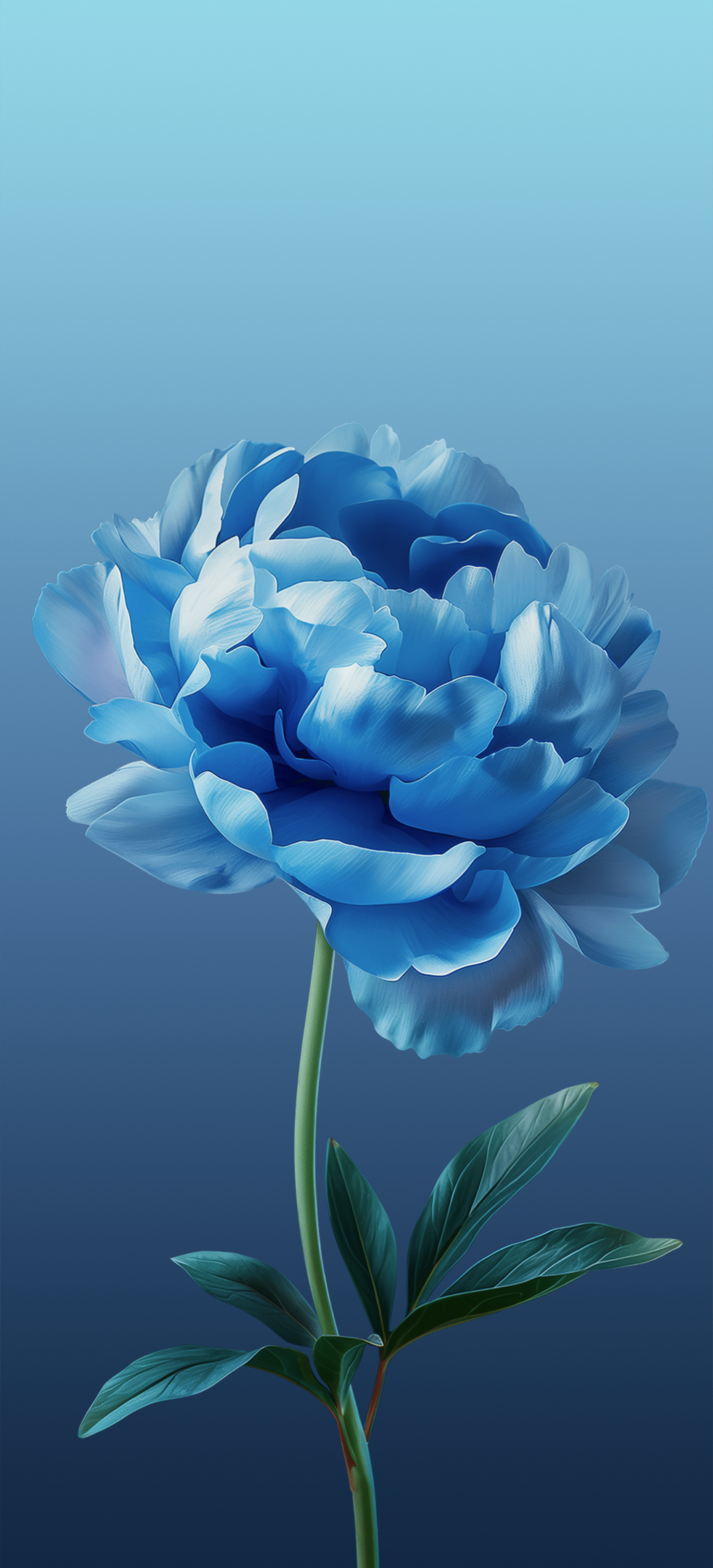 1440x3168 ColorOS 15 Wallpaper and Background