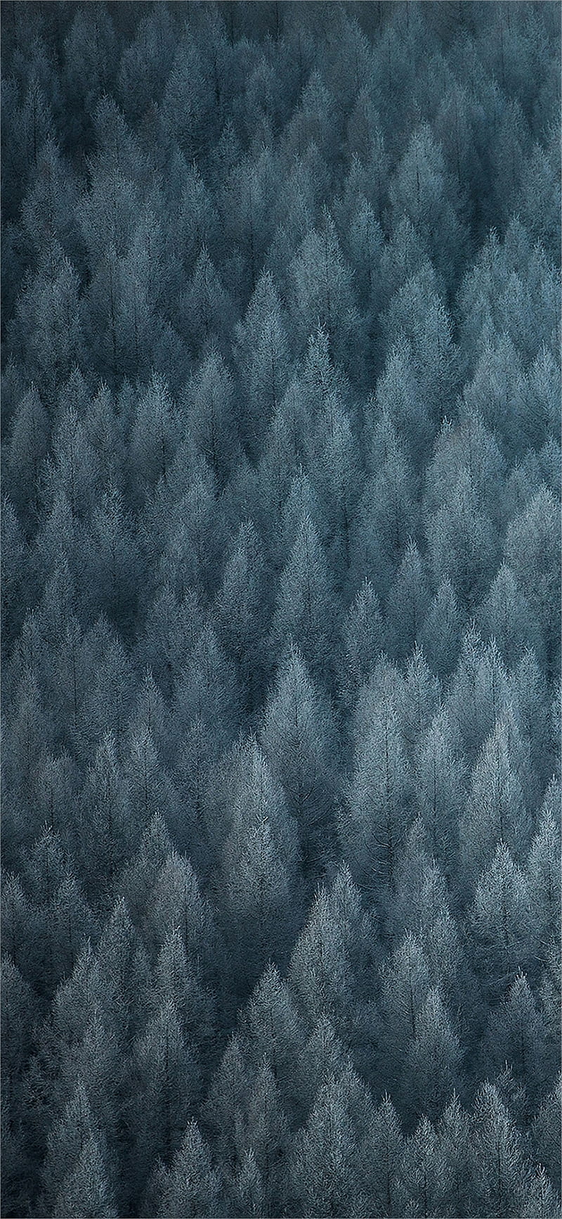 800x1733 OPPO ColorOS texture, HD phone wallpaper