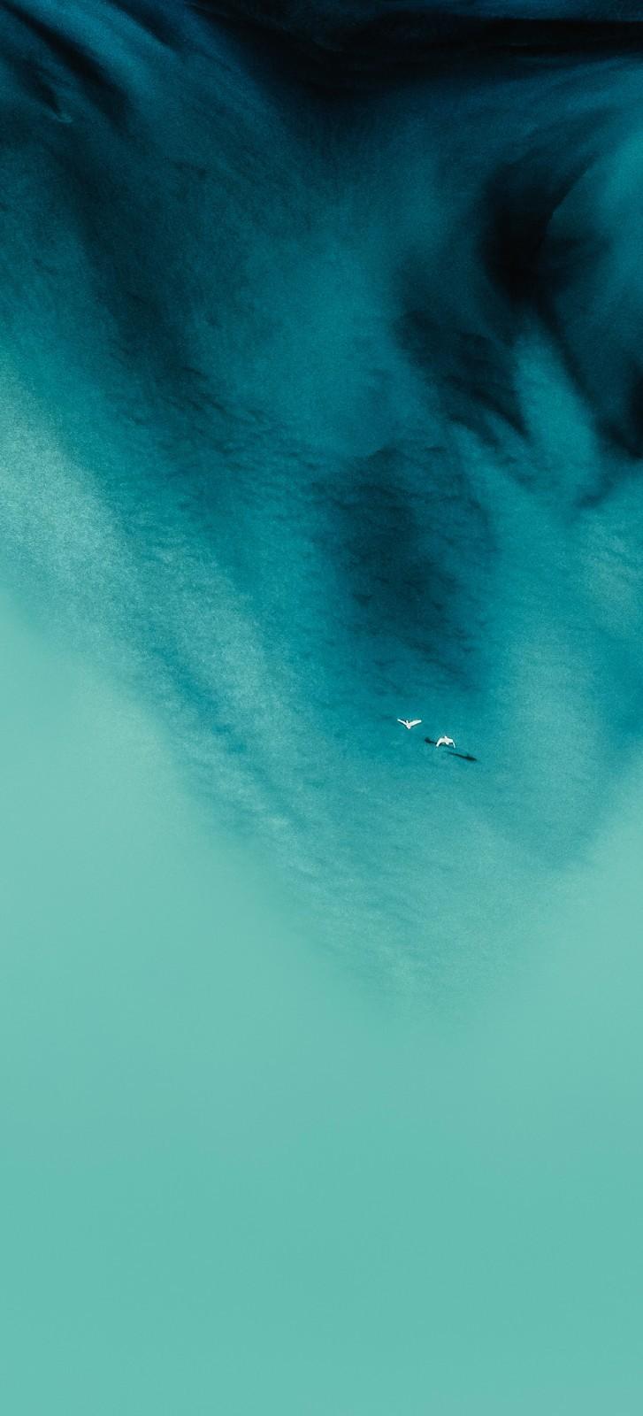 727x1600 ColorOS Wallpaper