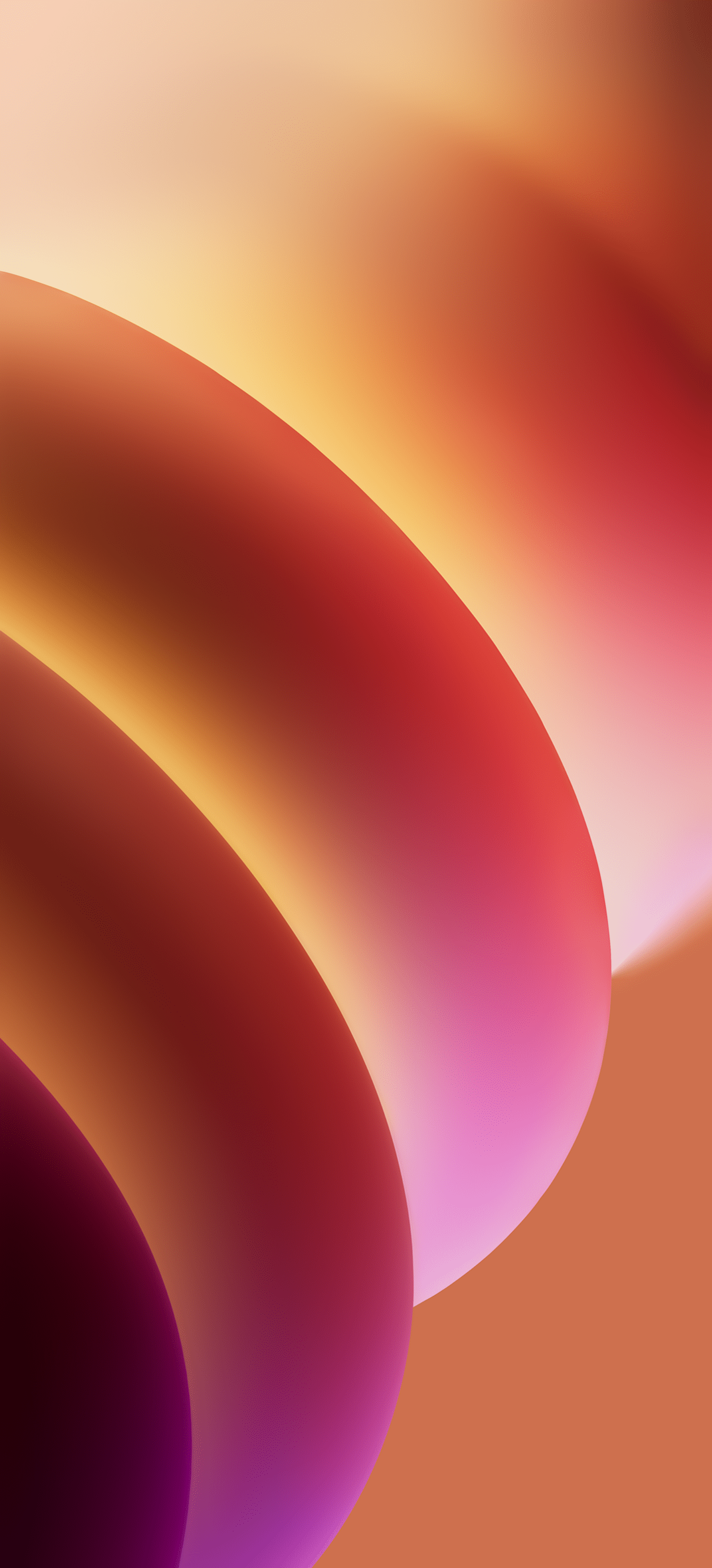 1440x3168 ColorOS 15 Wallpaper and Background