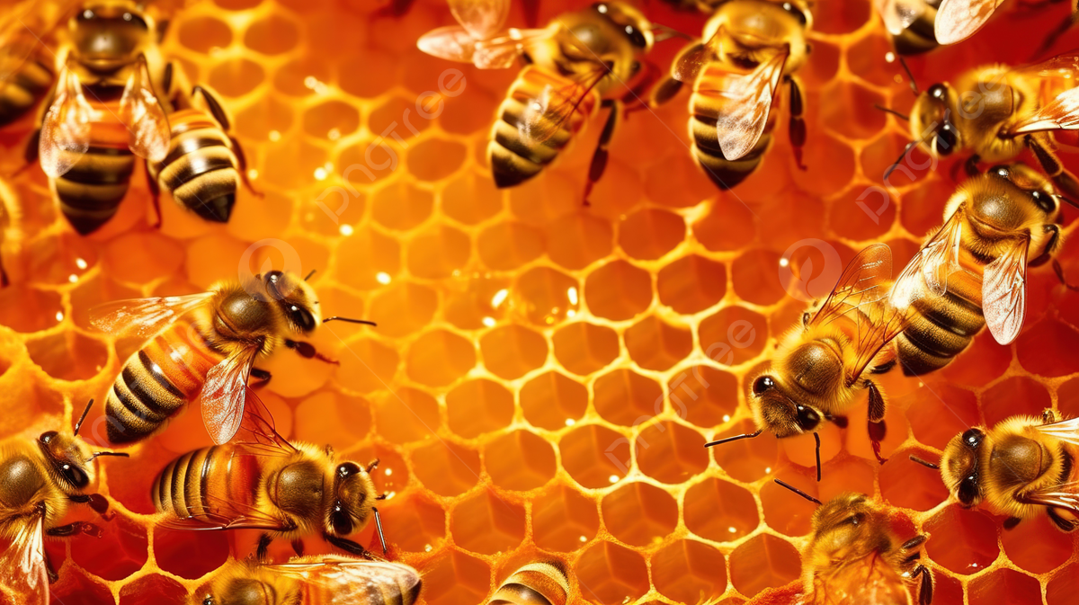 1200x673 Abstract Nature Texture Bees On Honeycomb Background, Beekeeping, Beehive, Bee Background Background Image And Wallpaper for Free Download