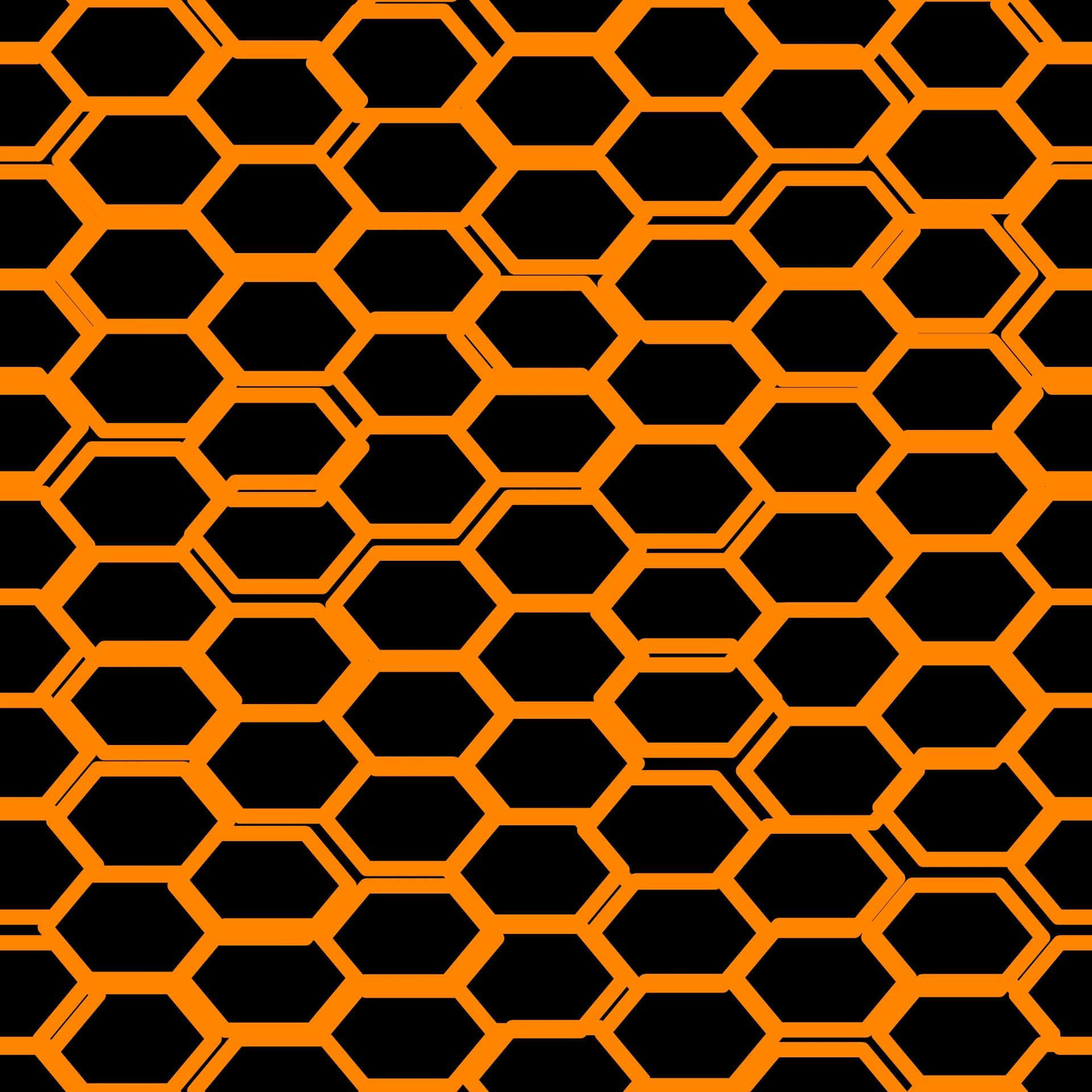 1920x1920 Download free photo of Gold, black, bee, hive, hex