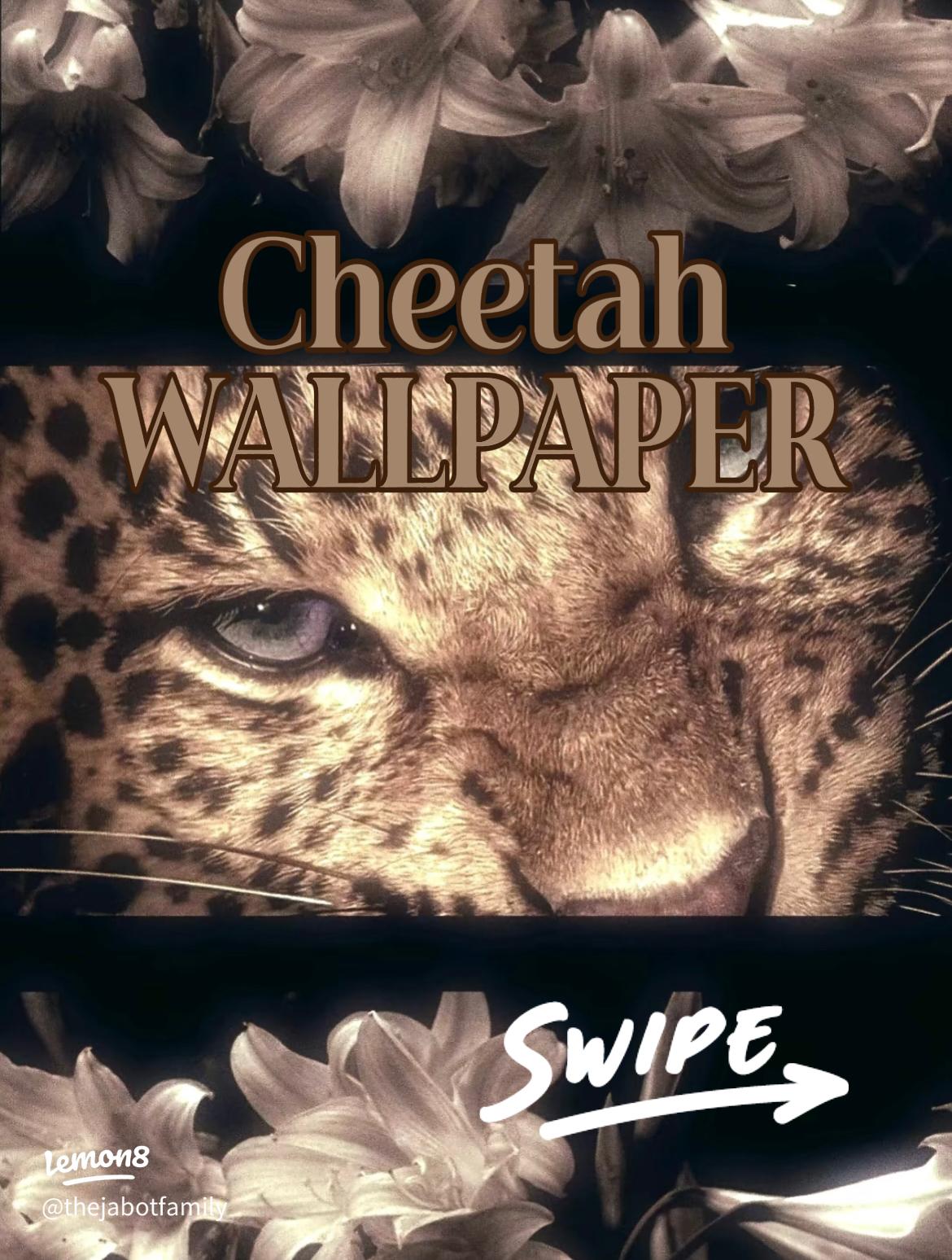 1170x1548 Cheetah Print Aesthetic: Chic Wallpaper & Customization Ideas for Your Phone!