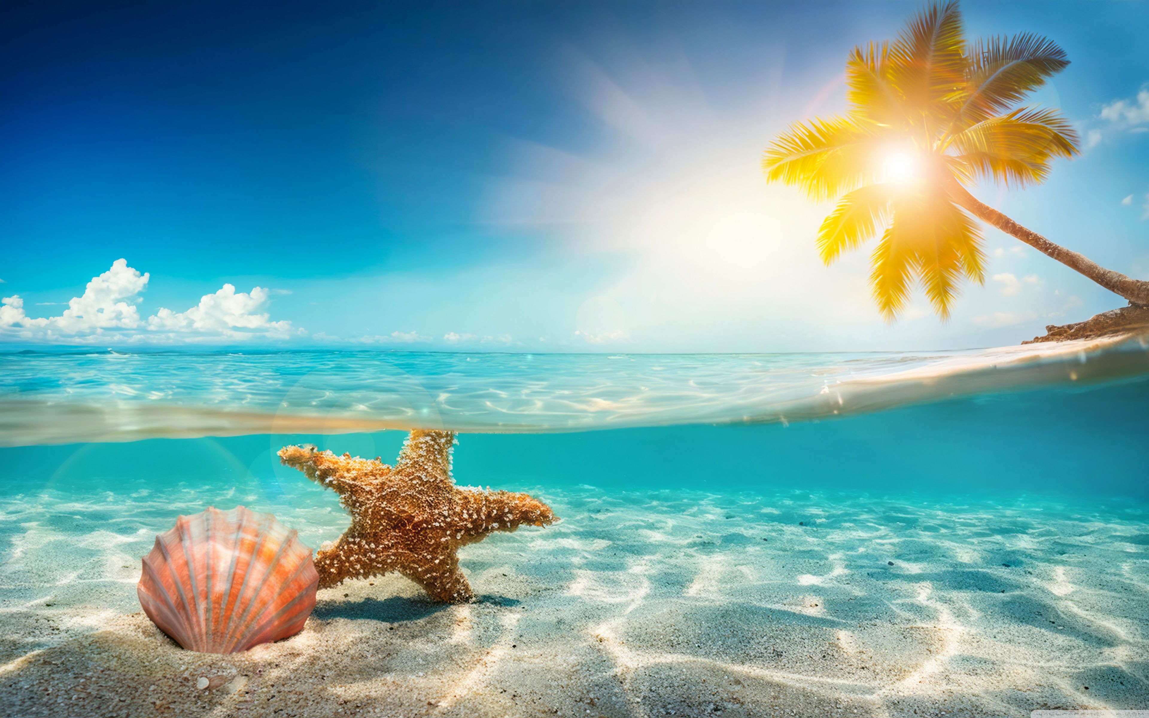 3840x2400 Hot Summer, Tropical Beach 4K UHD Wallpaper for UltraHD Desktop and TV : Widescreen and UltraWide Display : Smartphone and Tablet Devices