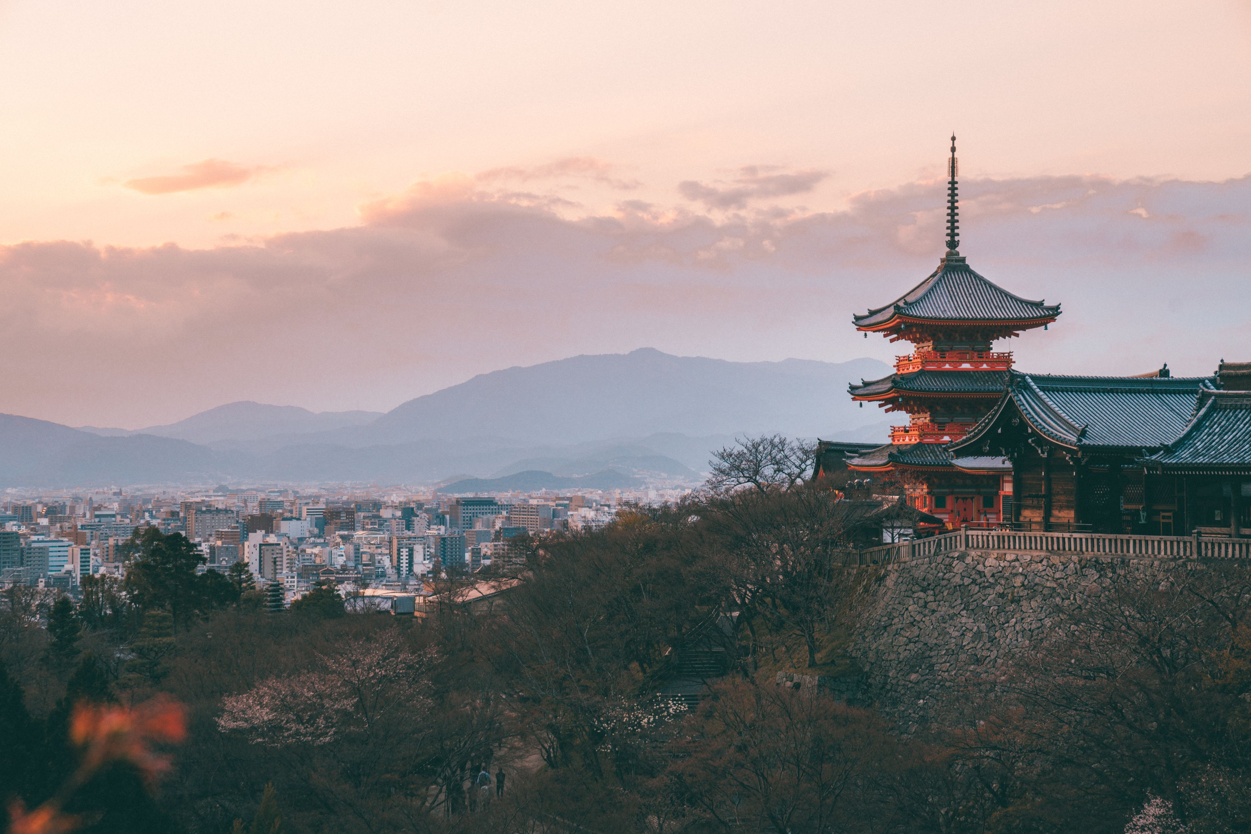 3976x2652 WHERE TO SEE CHERRY BLOSSOMS IN OSAKA, NARA & KYOTO de Lust