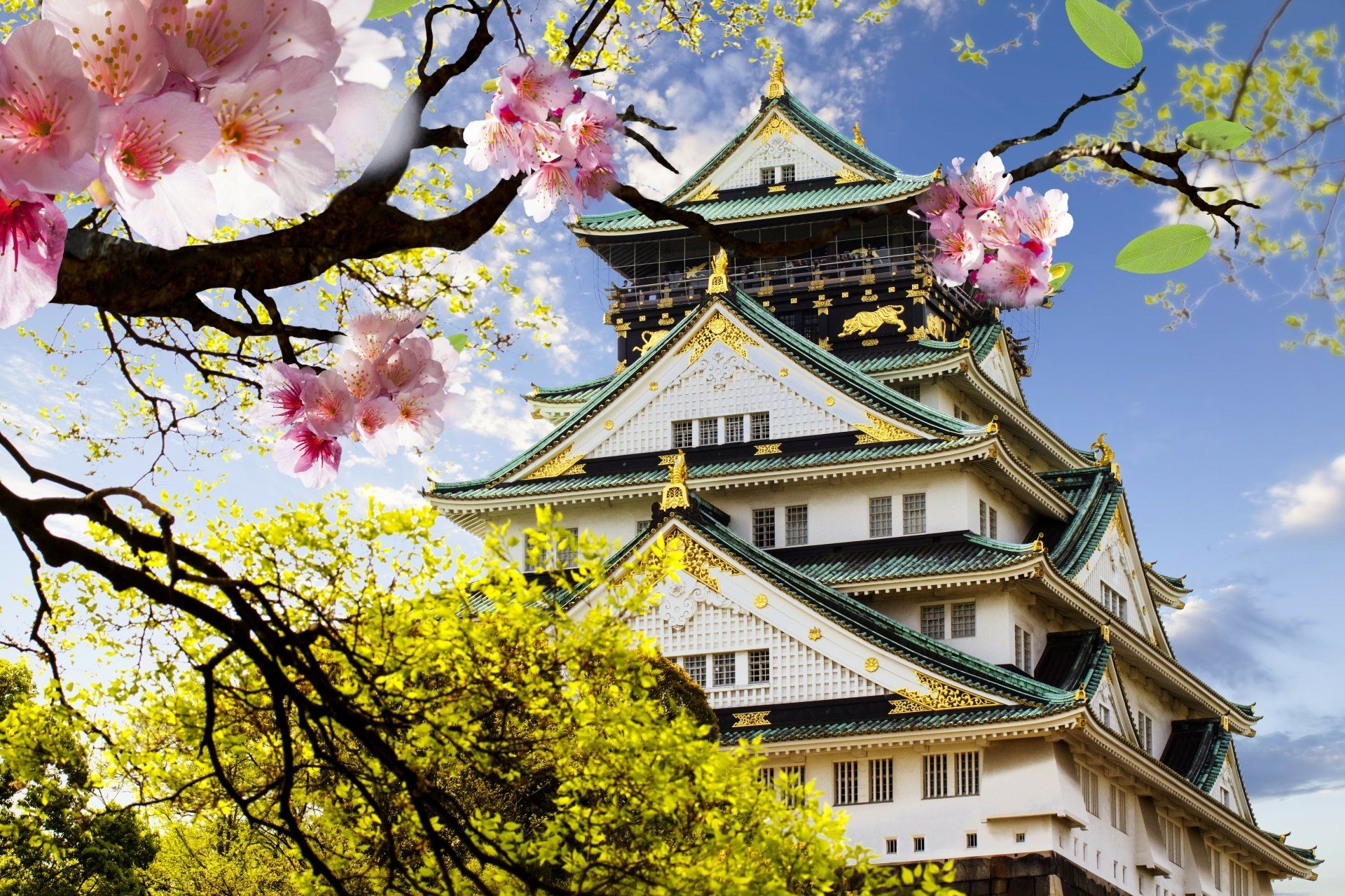 1920x1280 Cherry Blossom Pagoda: A Stunning 4K Ultra HD Wallpaper of Japan's Beautyx3456