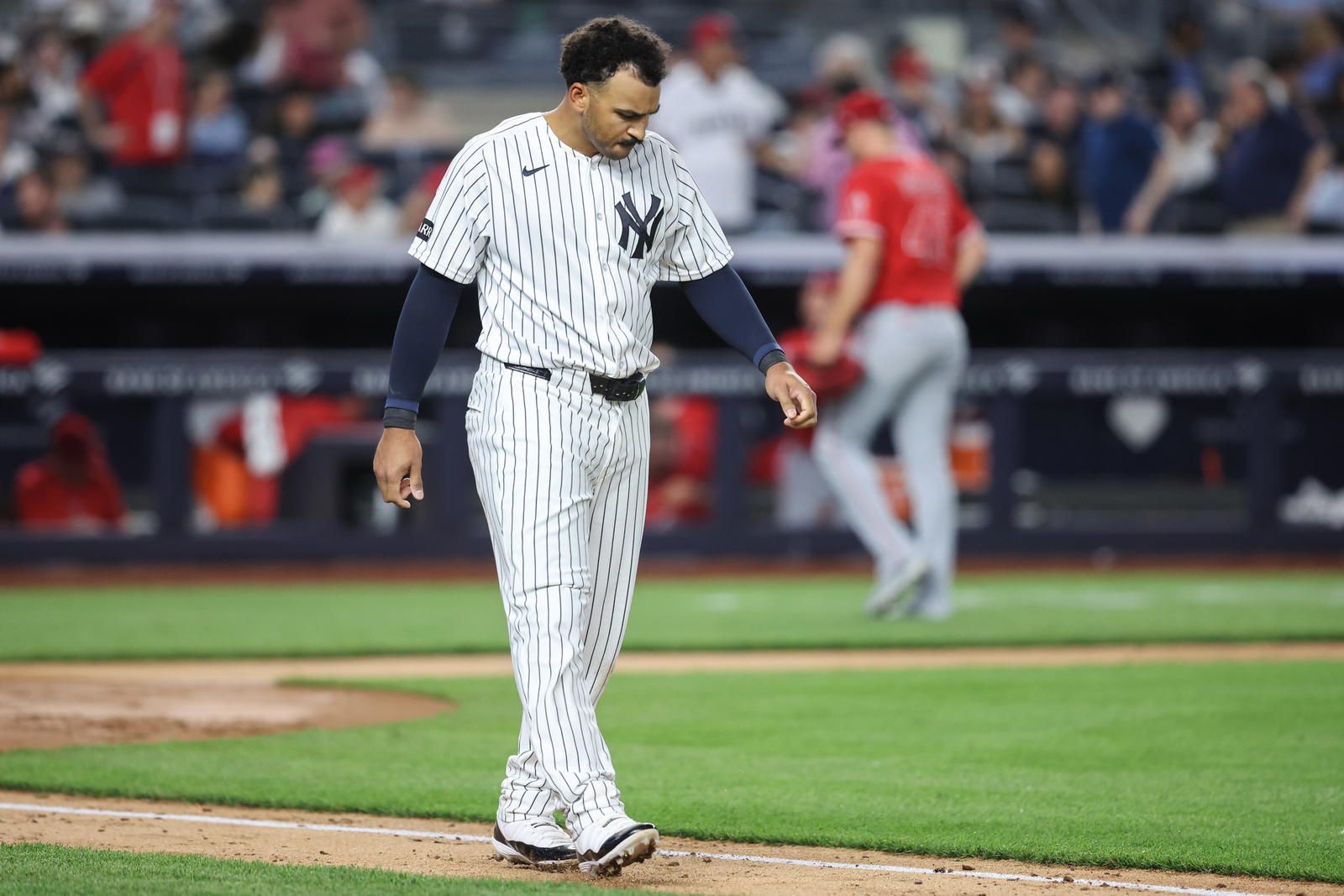 1600x1067 Let's Cut the Nonsense With New York Yankees' Trent Grisham