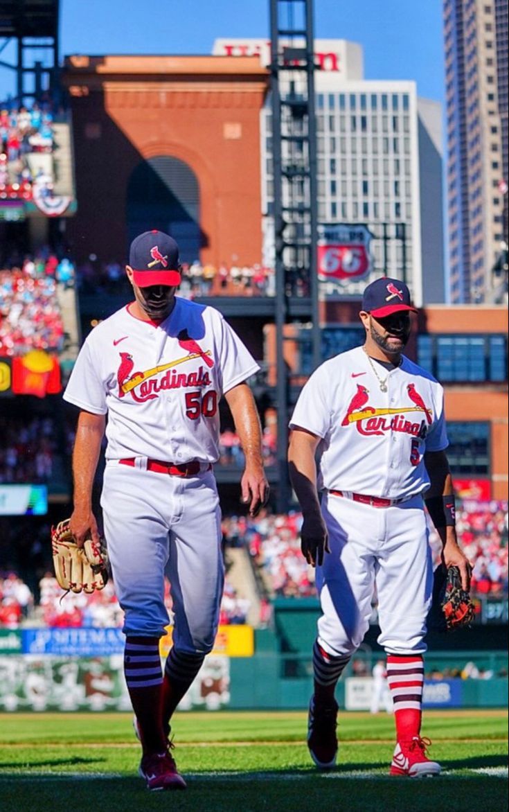 735x1172 St louis cardinals wallpaper. Cardinals wallpaper mlb, Cardinals baseball wallpaper, Baseball heaven