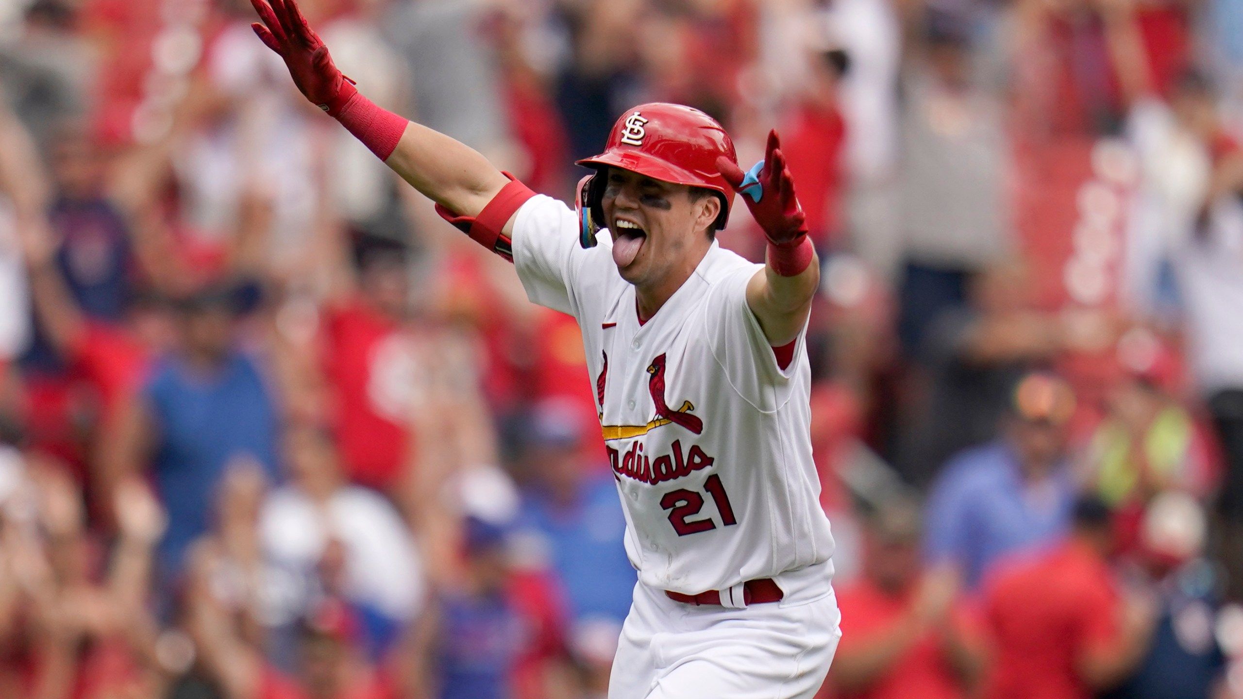 2560x1440 Lars Stars! From Fan Favorite To Cardinals Catalyst