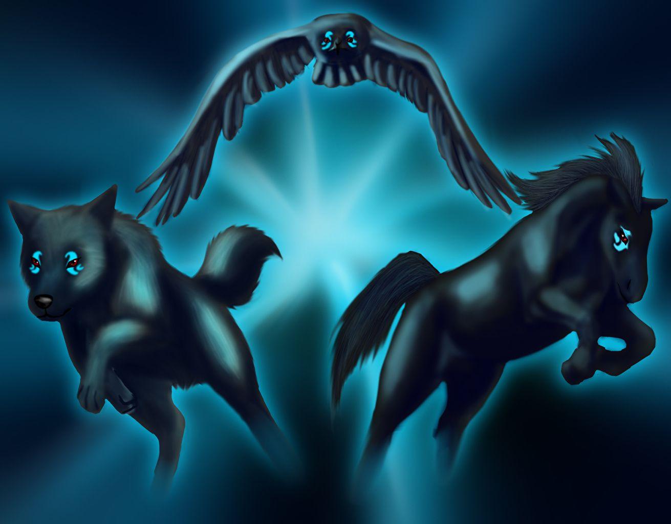 1311x1024 Wallpaper owl horse Wolves Fantasy Magical animals