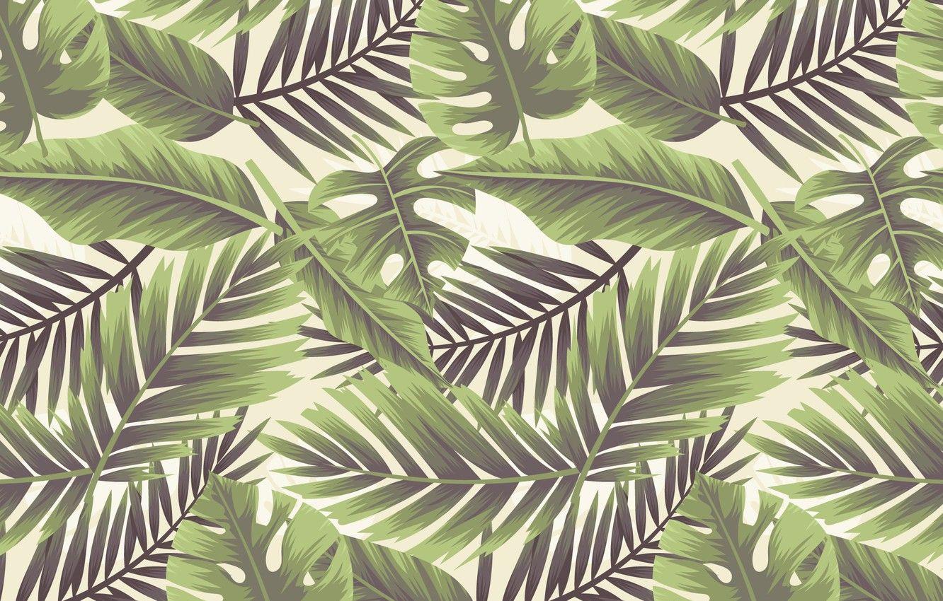 Leaf Texture Wallpapers Top Free Leaf Texture Backgrounds 